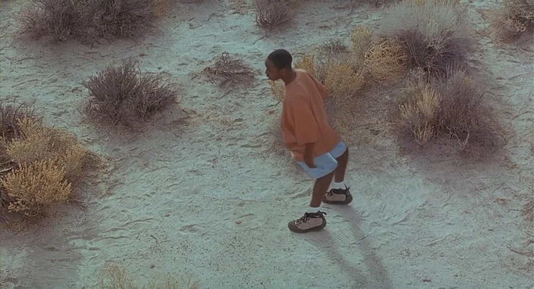 THE ARRIVAL (1996)