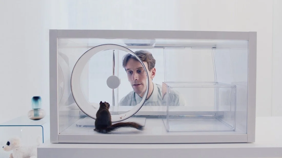 THE SQUIRREL (2026)