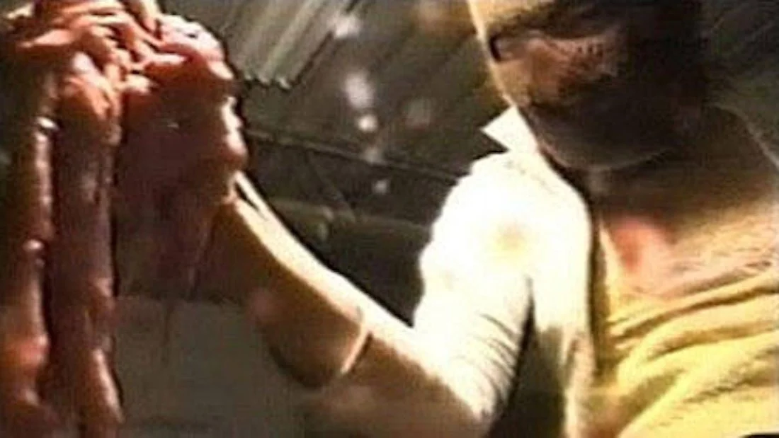 CELLULOID NIGHTMARES (1999)