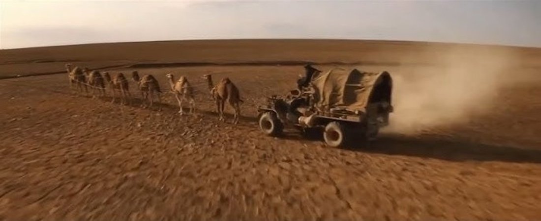 Camel Wagon