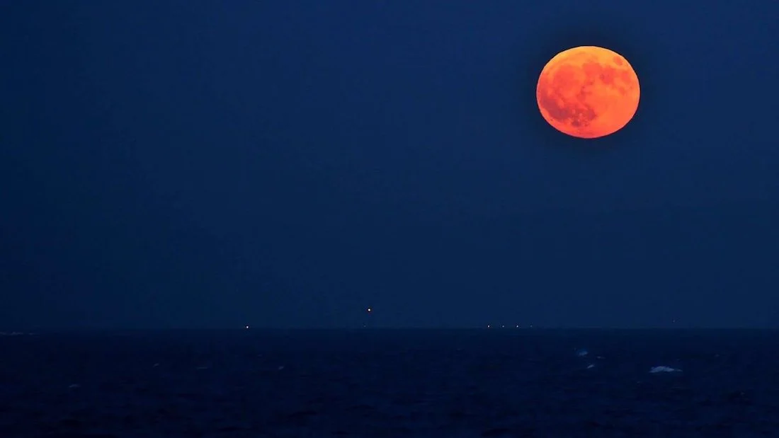 Summer moon