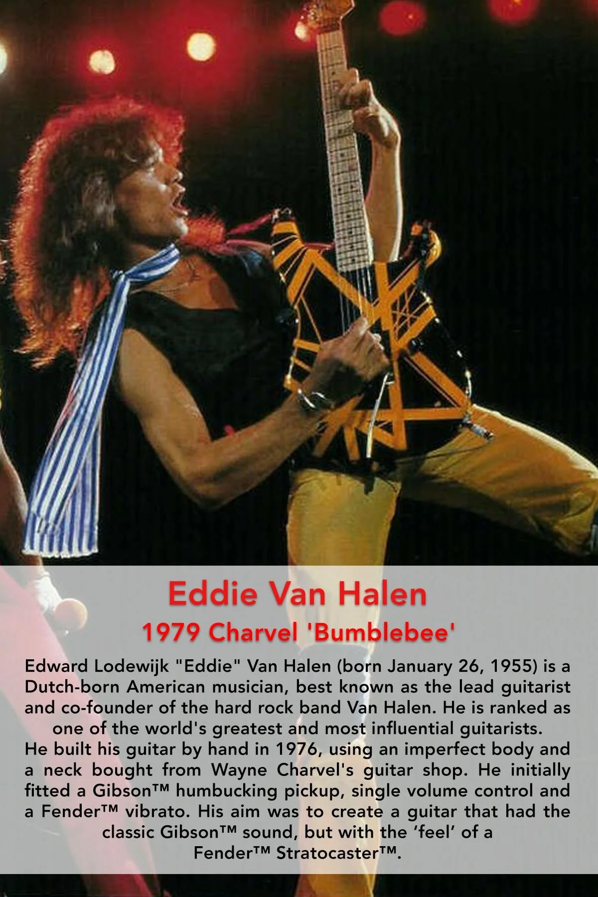 eddie van halen bumblebee