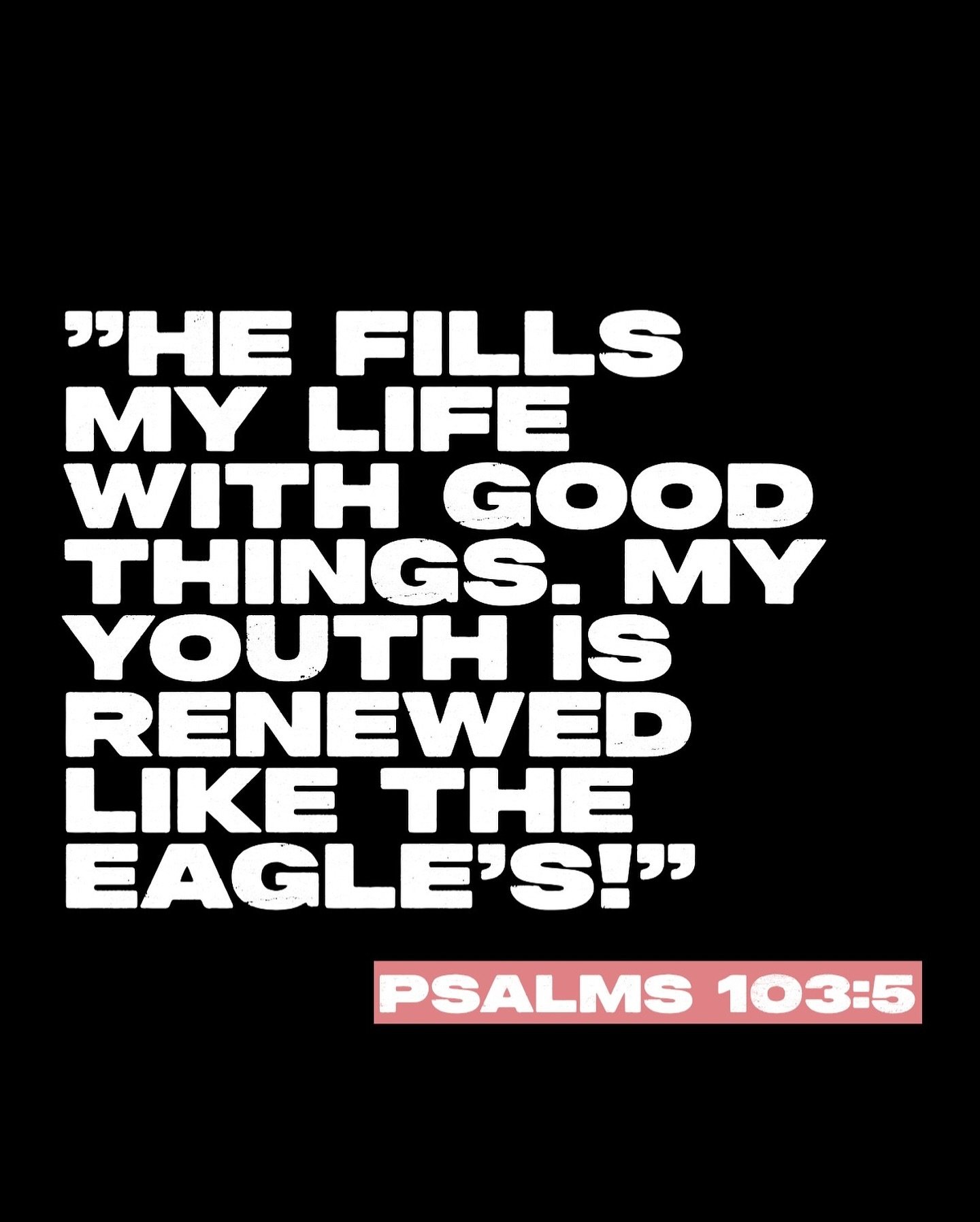 &rdquo;He fills my life with good things. My youth is renewed like the eagle&rsquo;s!&ldquo;
‭‭Psalms‬ ‭103‬:‭5‬ ‭NLT‬‬

#faithcenter #good #youth