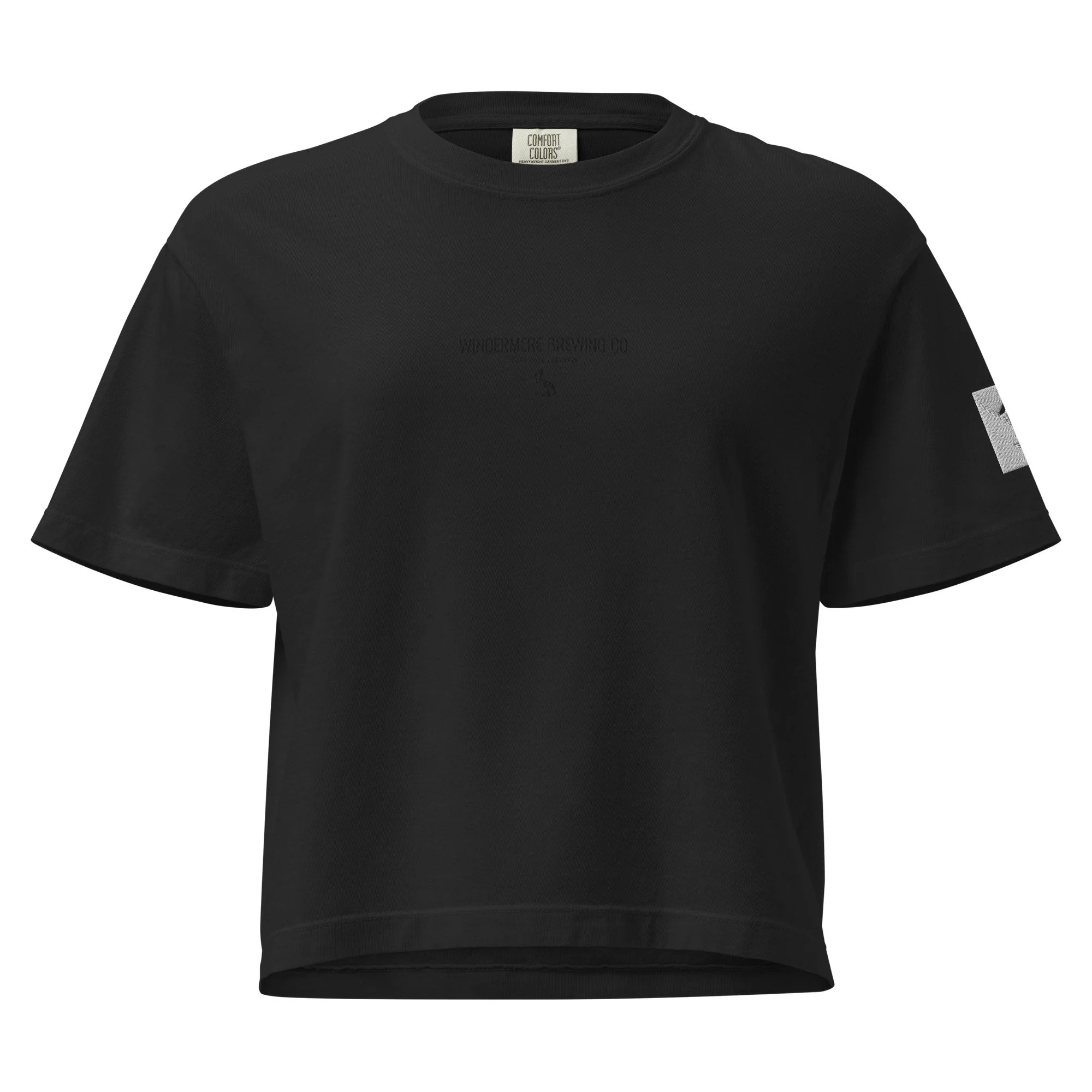 womens-heavyweight-boxy-t-shirt-black-front-68ae62750312c.jpg