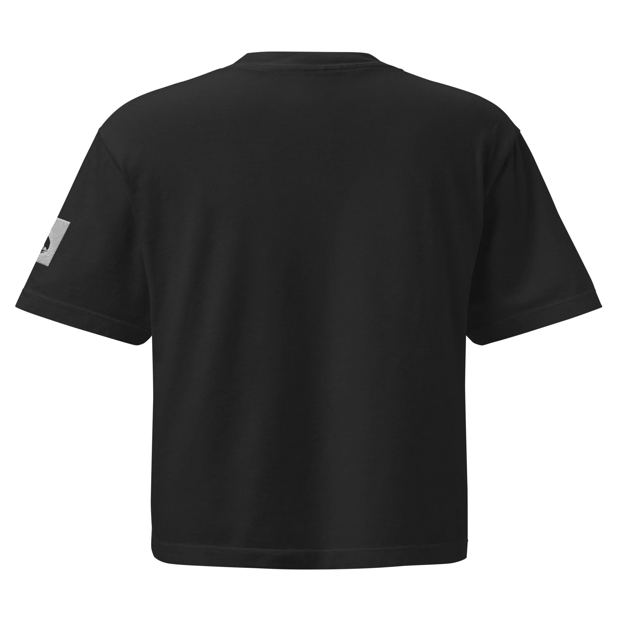 womens-heavyweight-boxy-t-shirt-black-back-68ae627503c4f.jpg