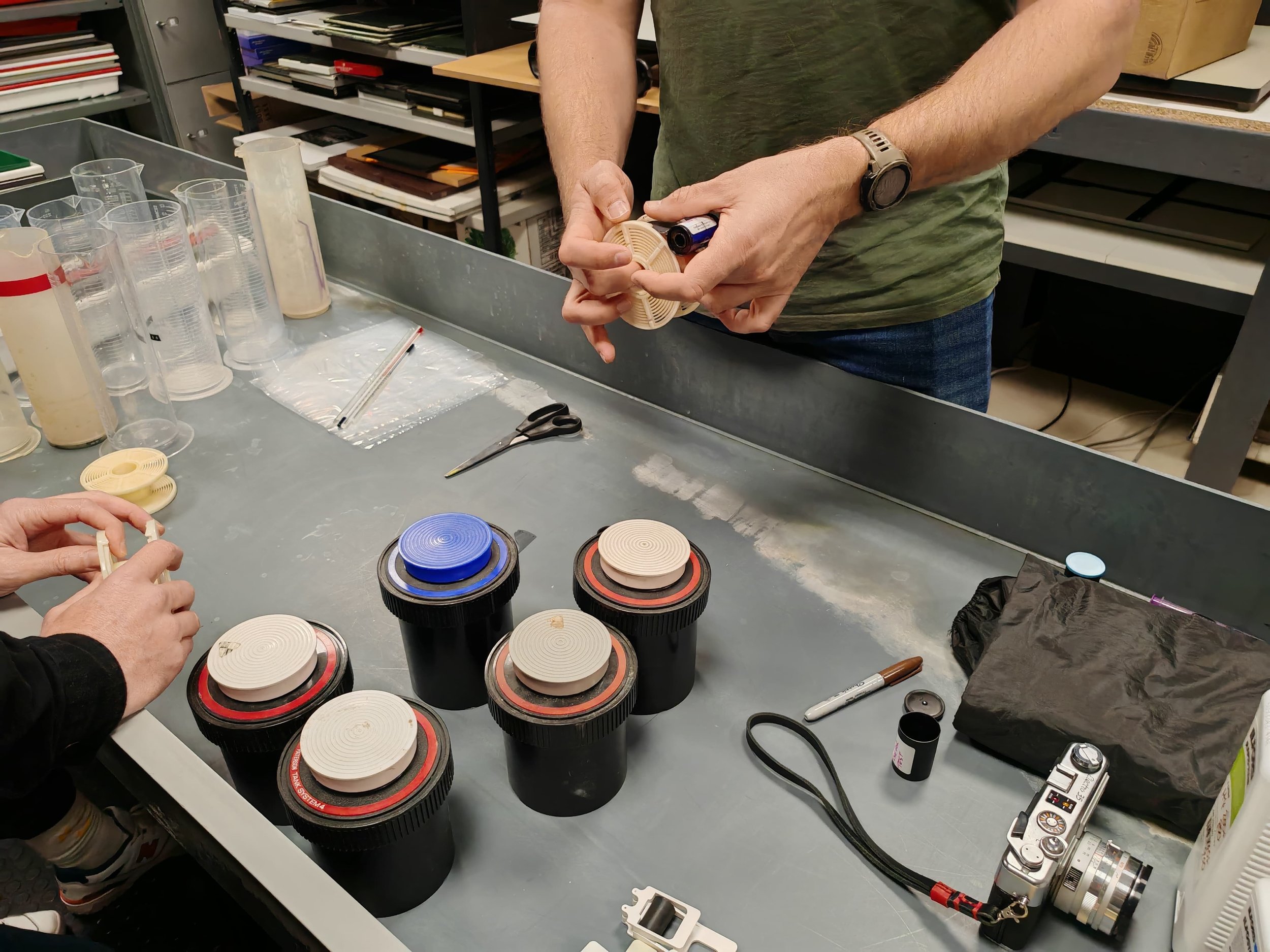 Plant Developing | 30th May