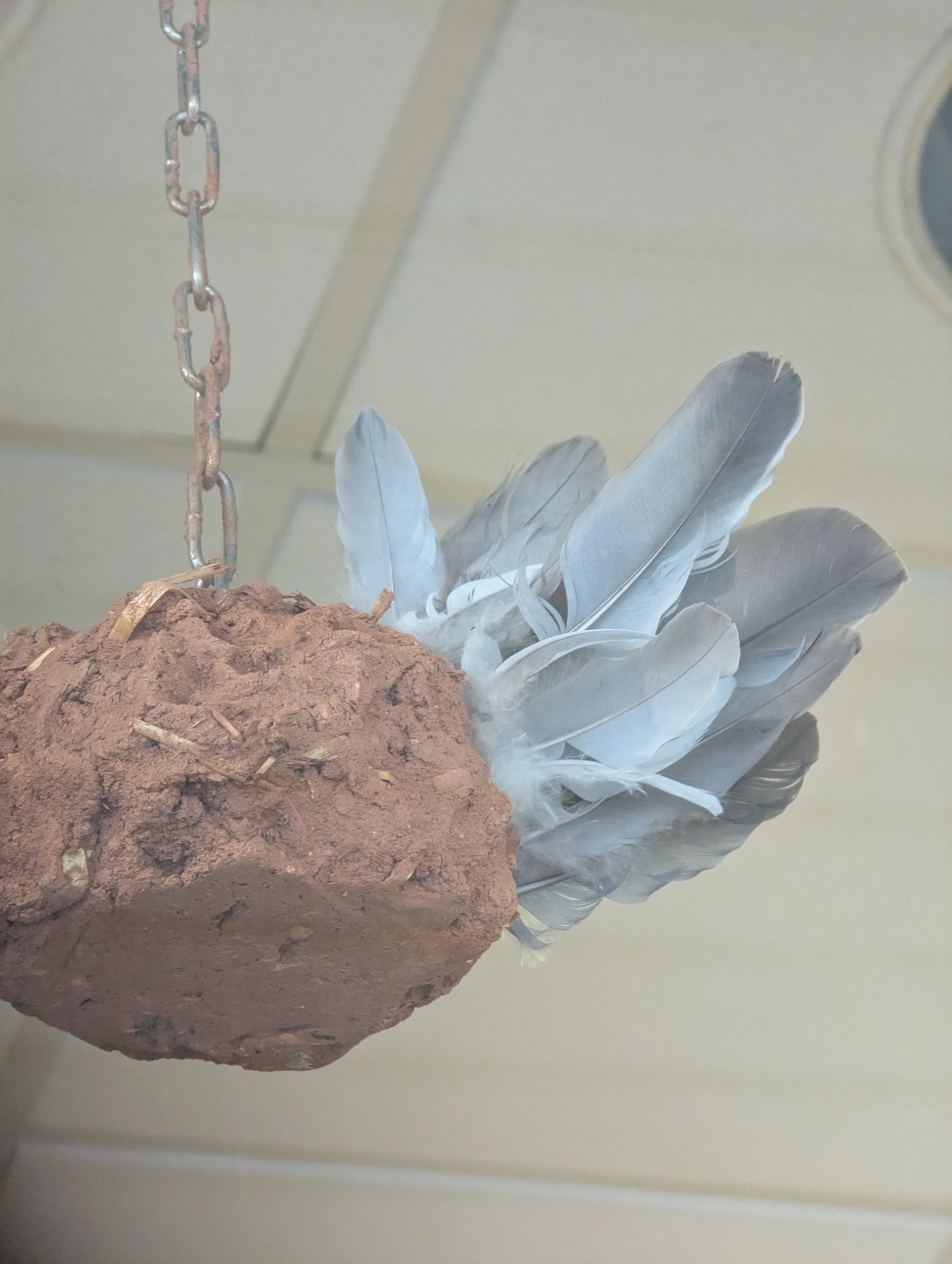 Too Close to Home: Zoe Whatley