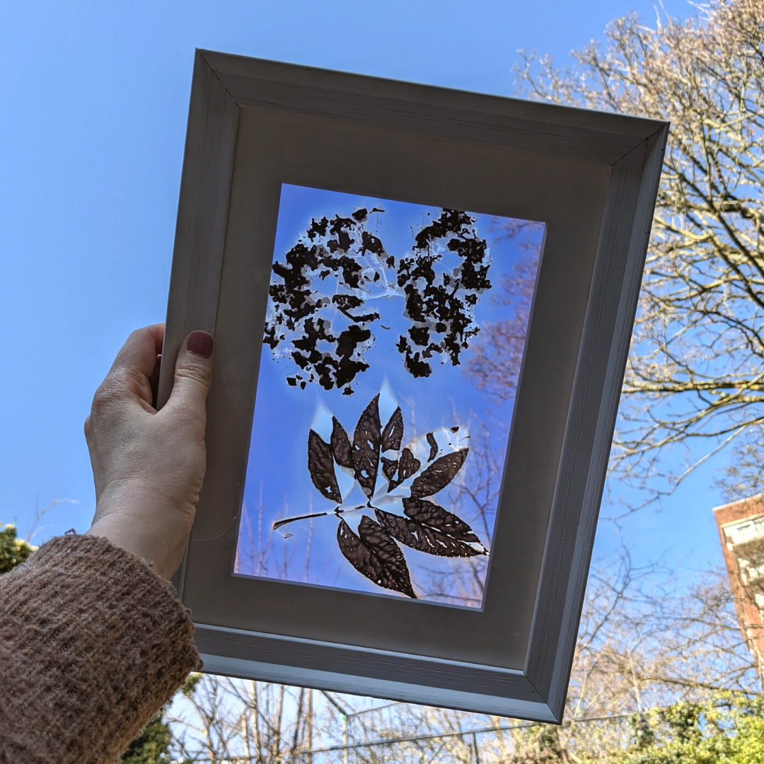 Phytogram Workshop | 11th April