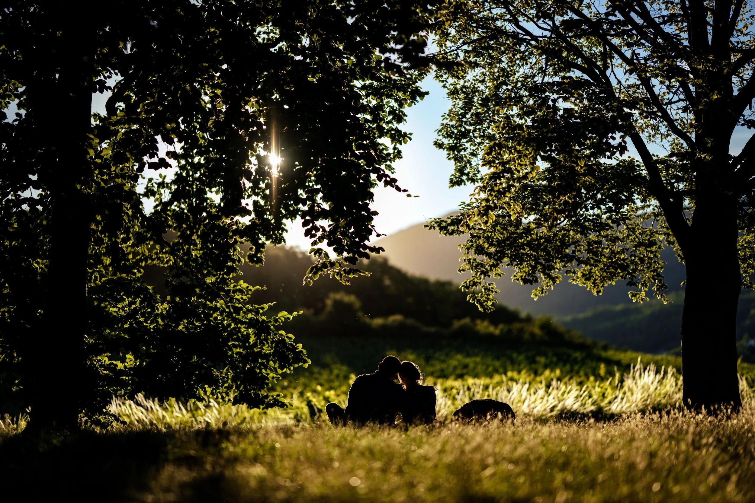 Séance d’engagement Lauriane &amp; Nicolas