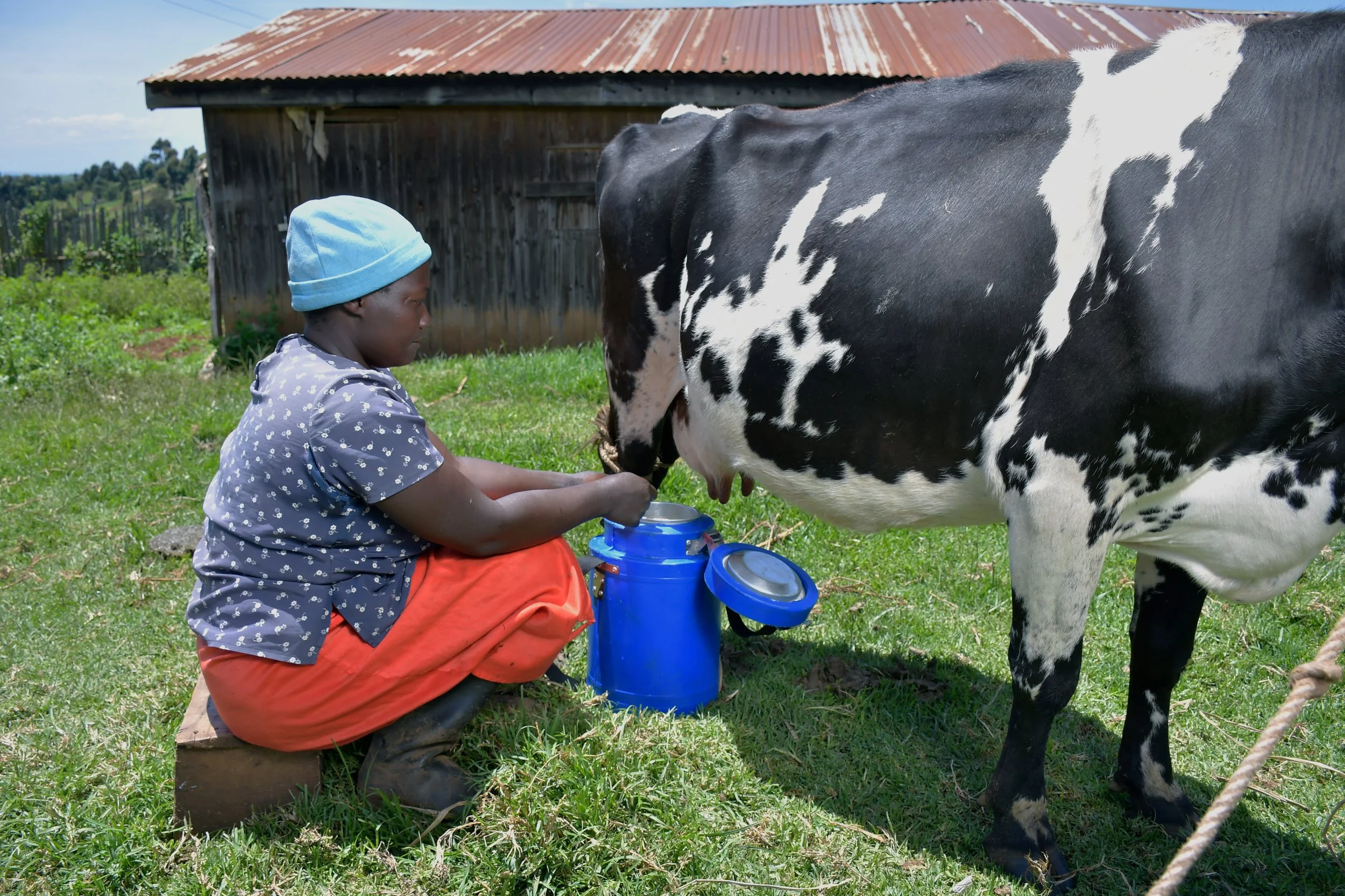 From Farm to Market, Unbroken