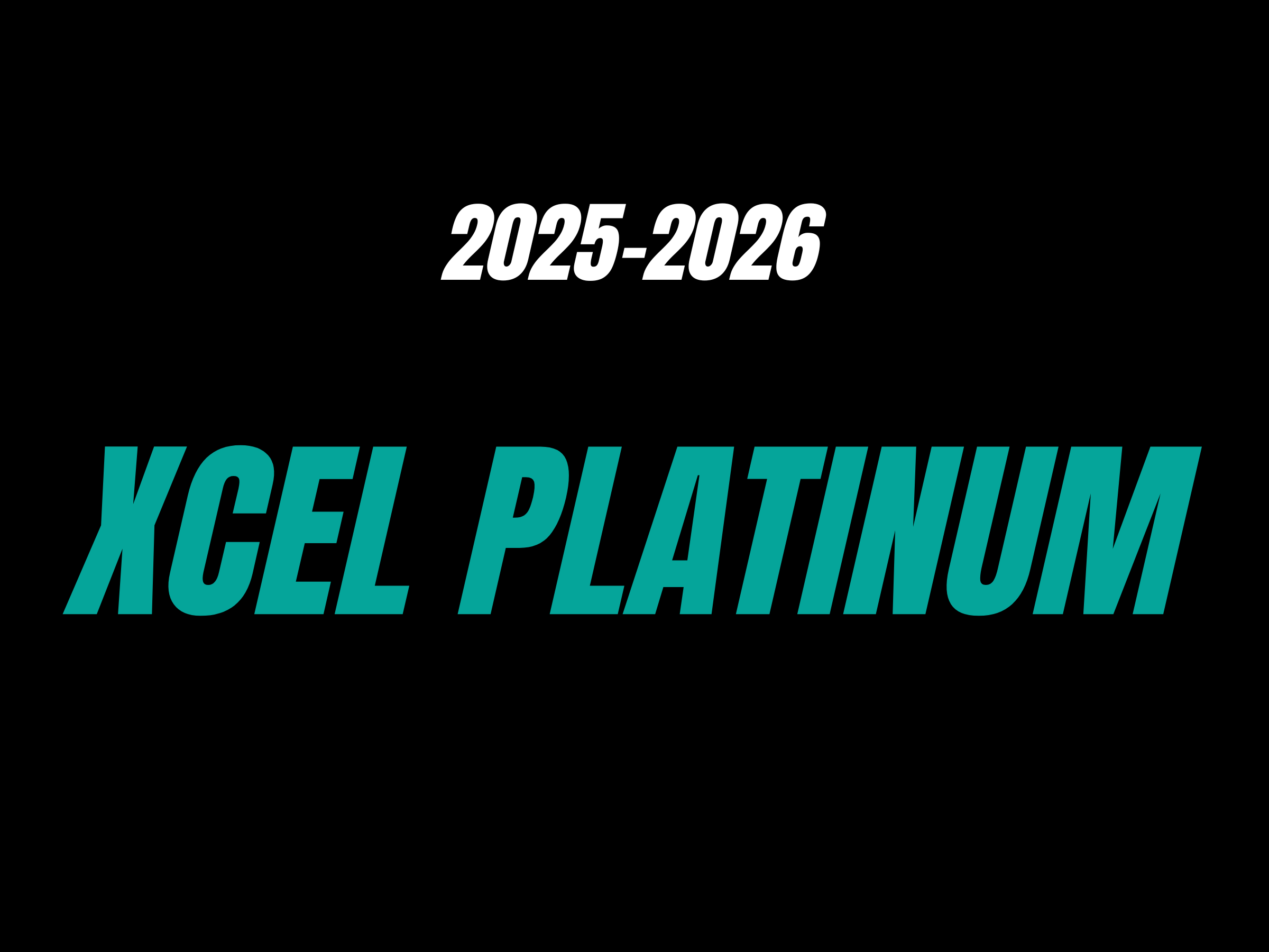 Xcel Platinum