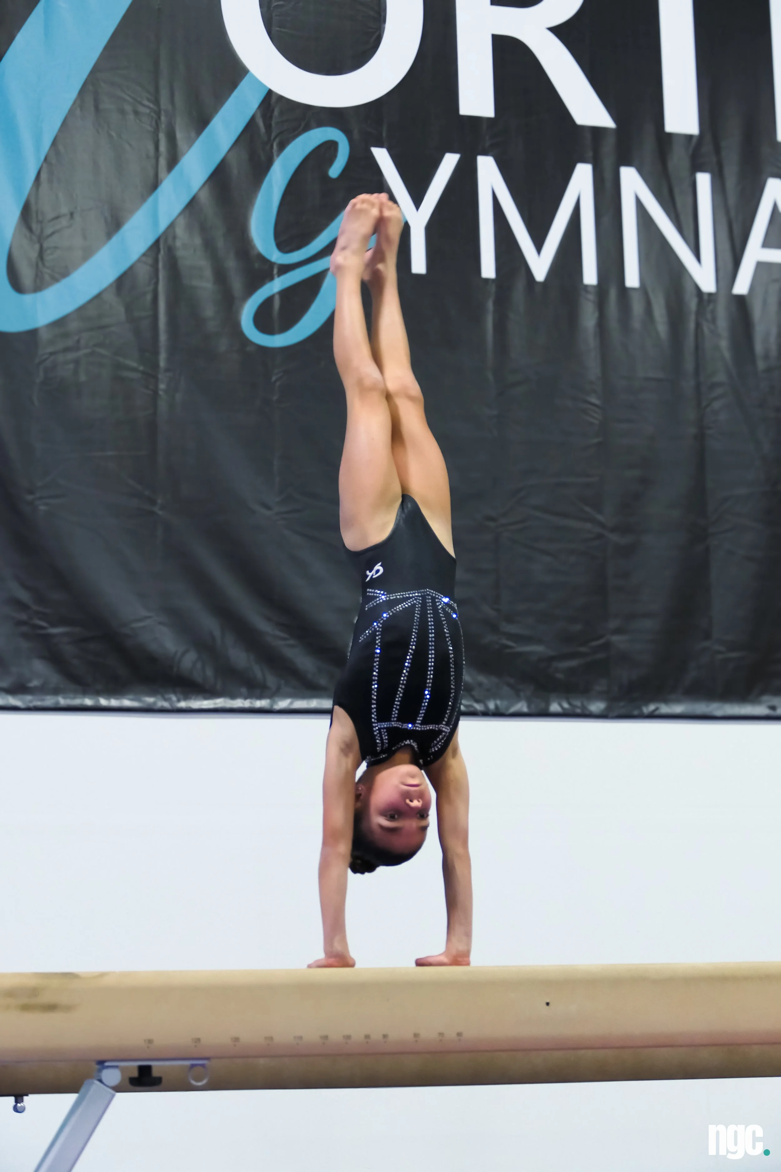 P1014083 (1).JPG