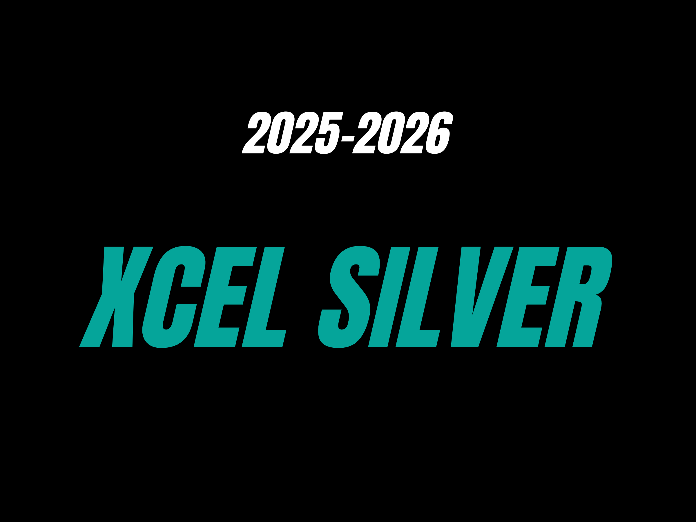 Xcel Silver