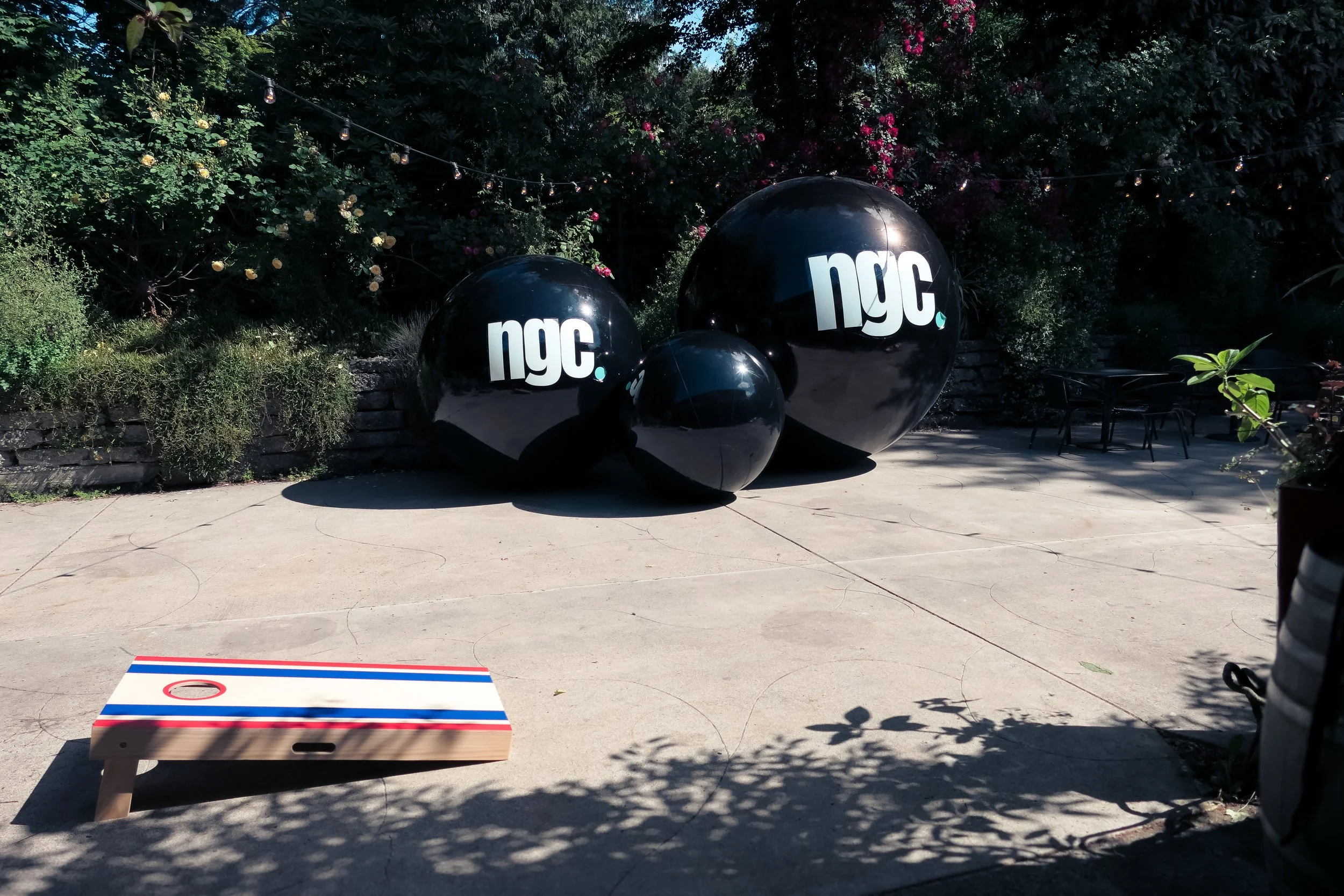 P1144532.JPG