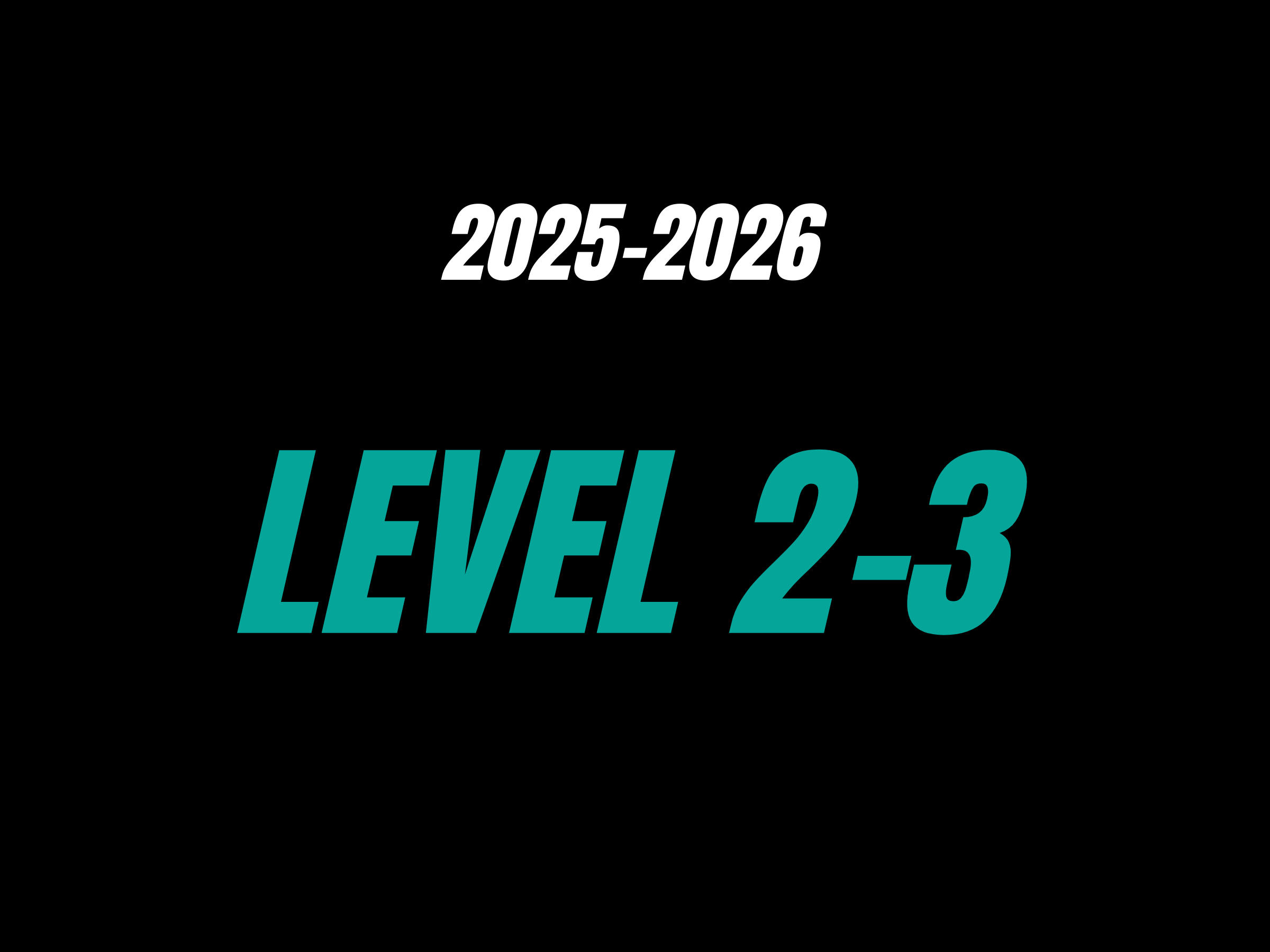 Level 2-3