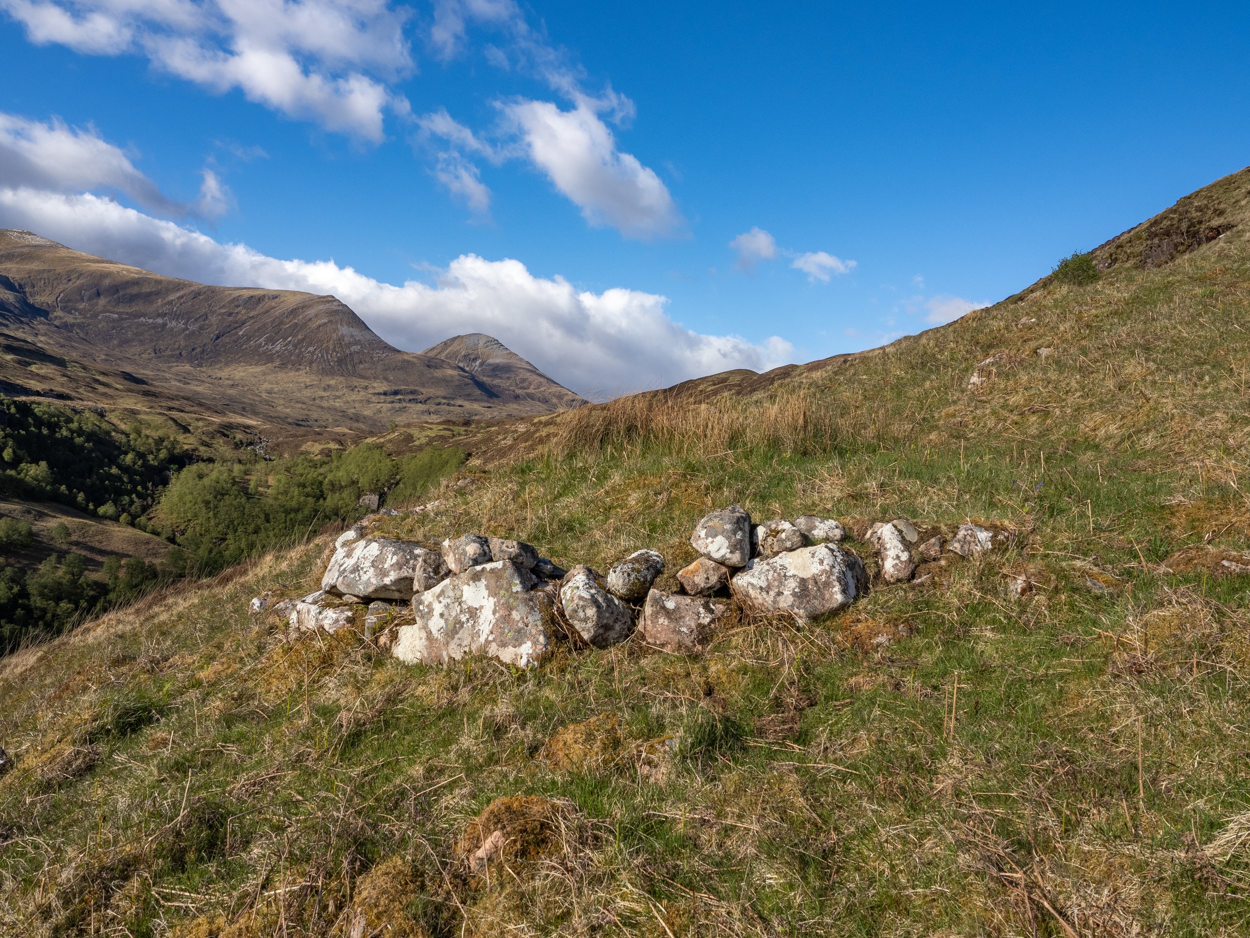 Our Mamore Team have been busy carrying out Habitat Impact Assessments across the land