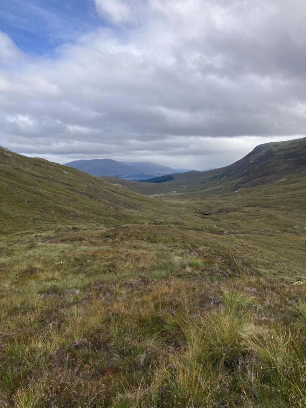 Phase 2 of the Mamore and Killiechonate Native Woodland regeneration project has started this week.&nbsp;
