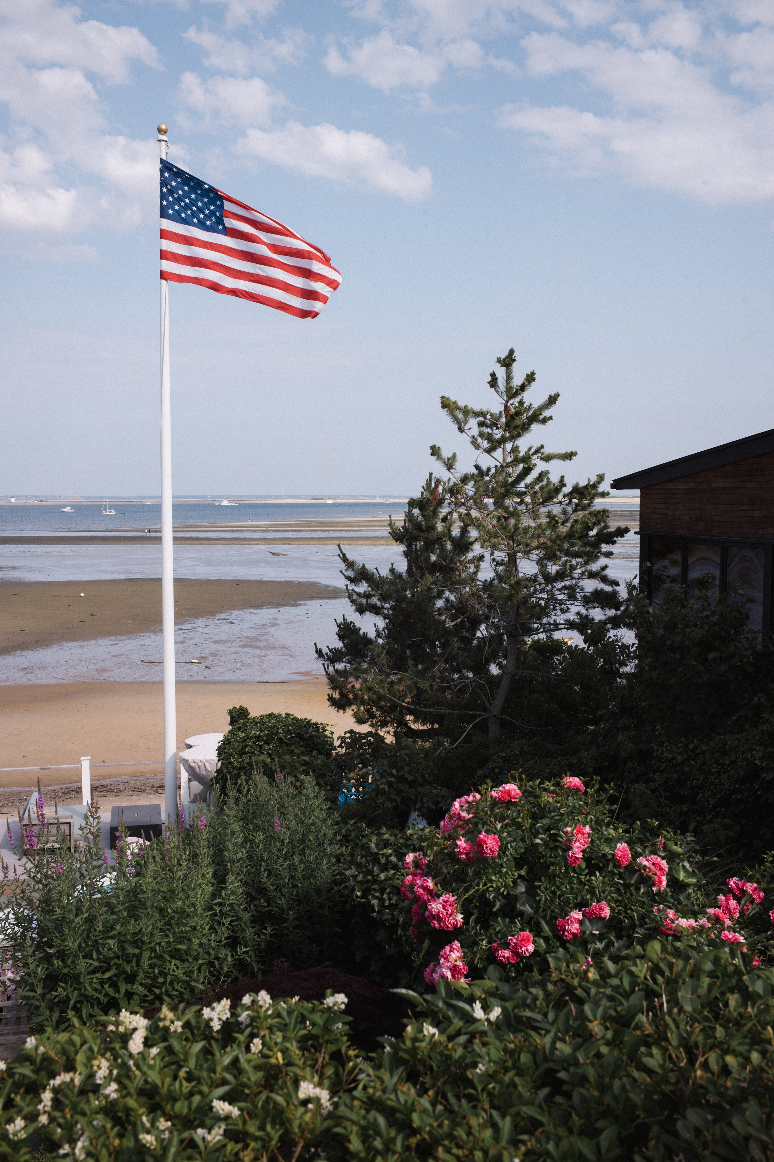 L1001960.jpg