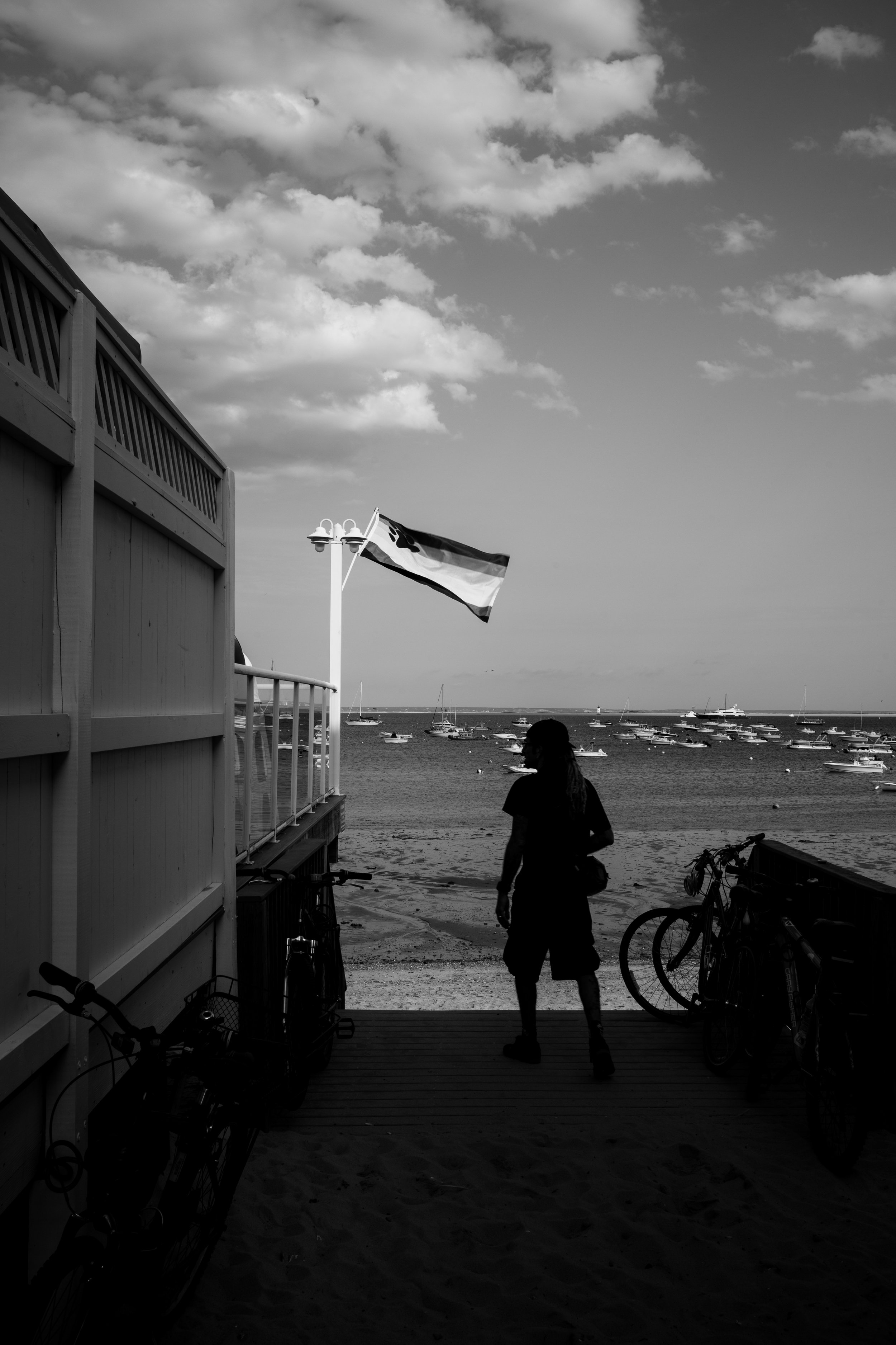L1001974.jpg