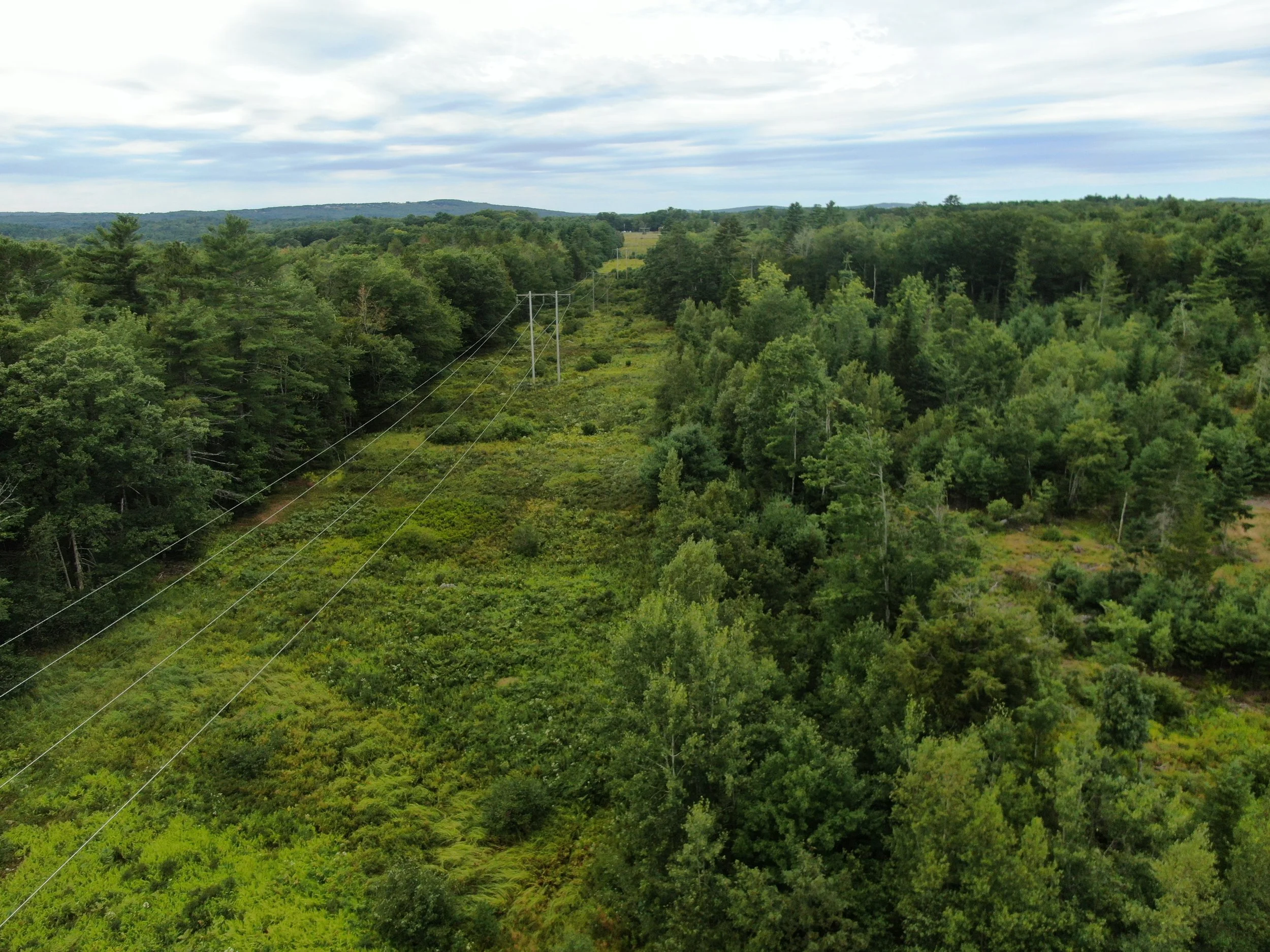 Warren Meadow Solar Station — Glenvale About Us