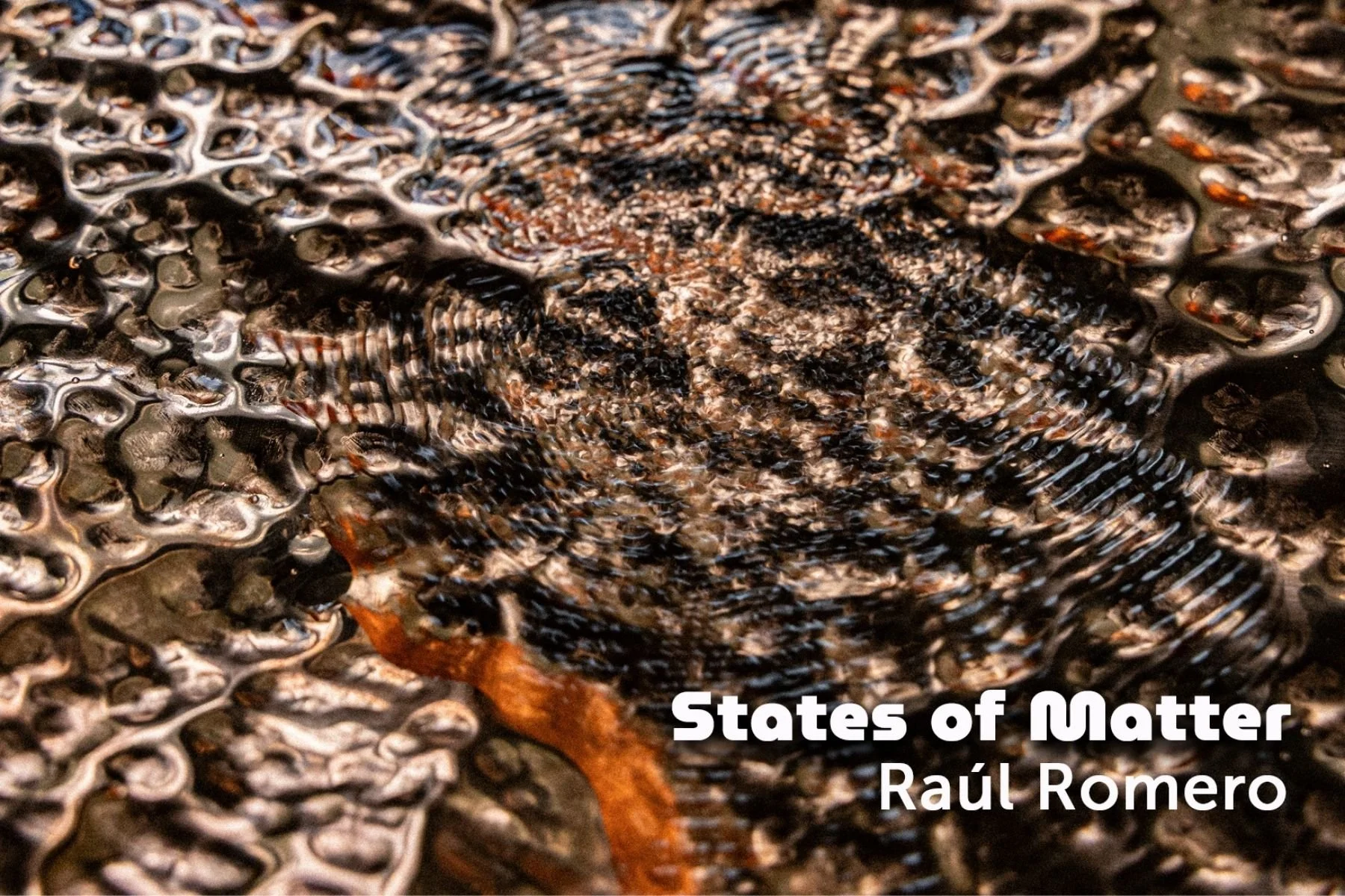 States of Matter Exhibition Opening Day