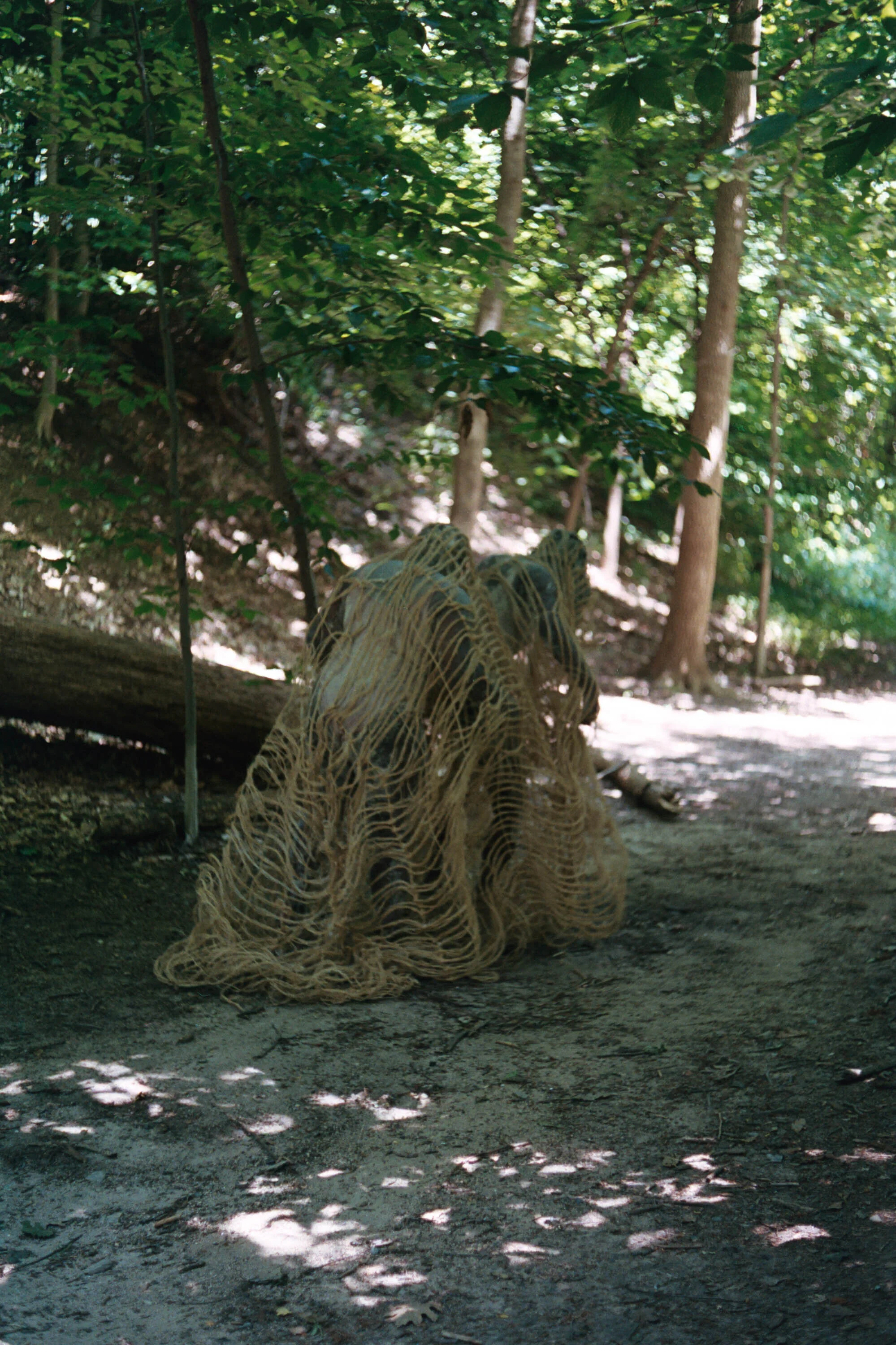 Soofi 3555 AA034.jpg