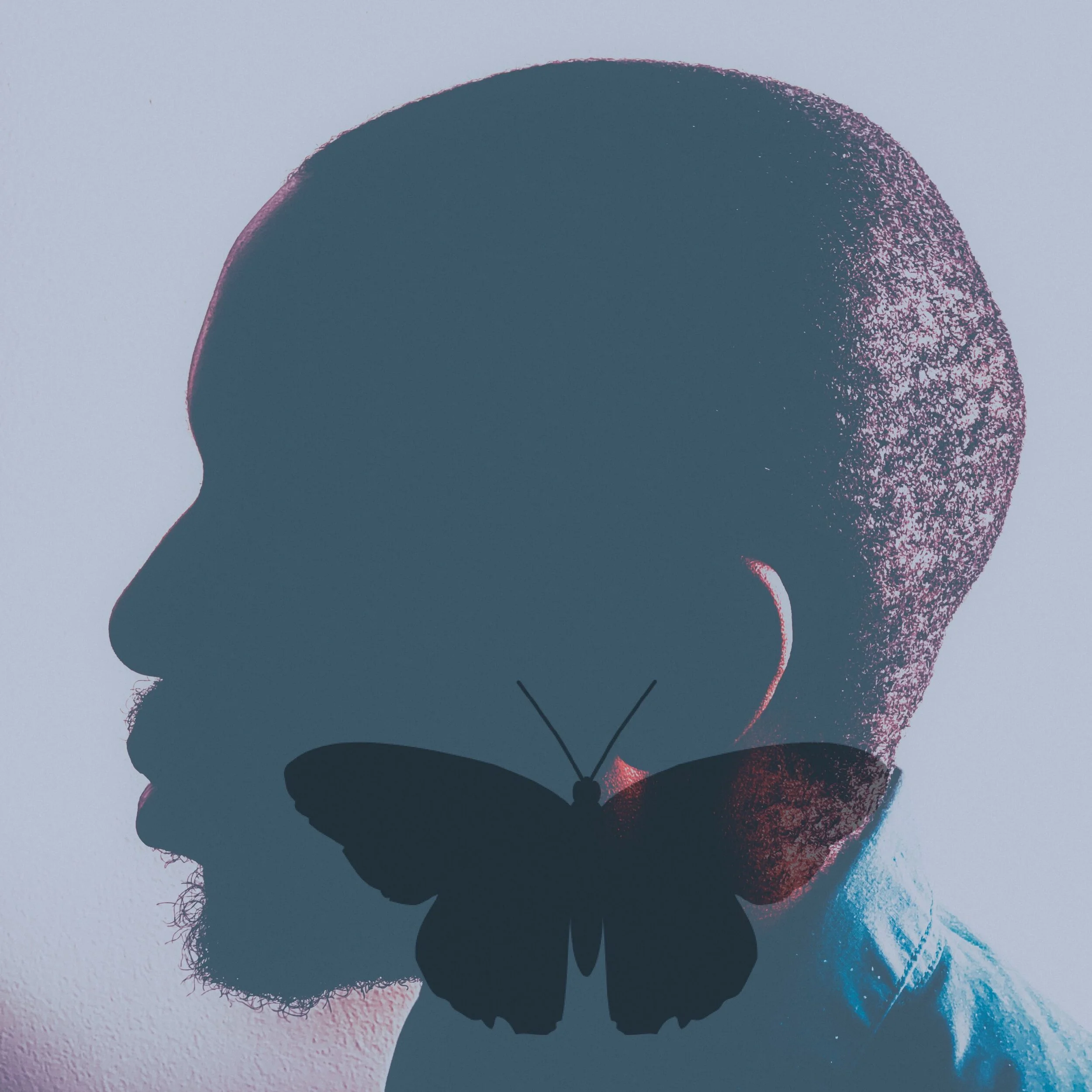 Black Butterfly (Original Pandemic Version)