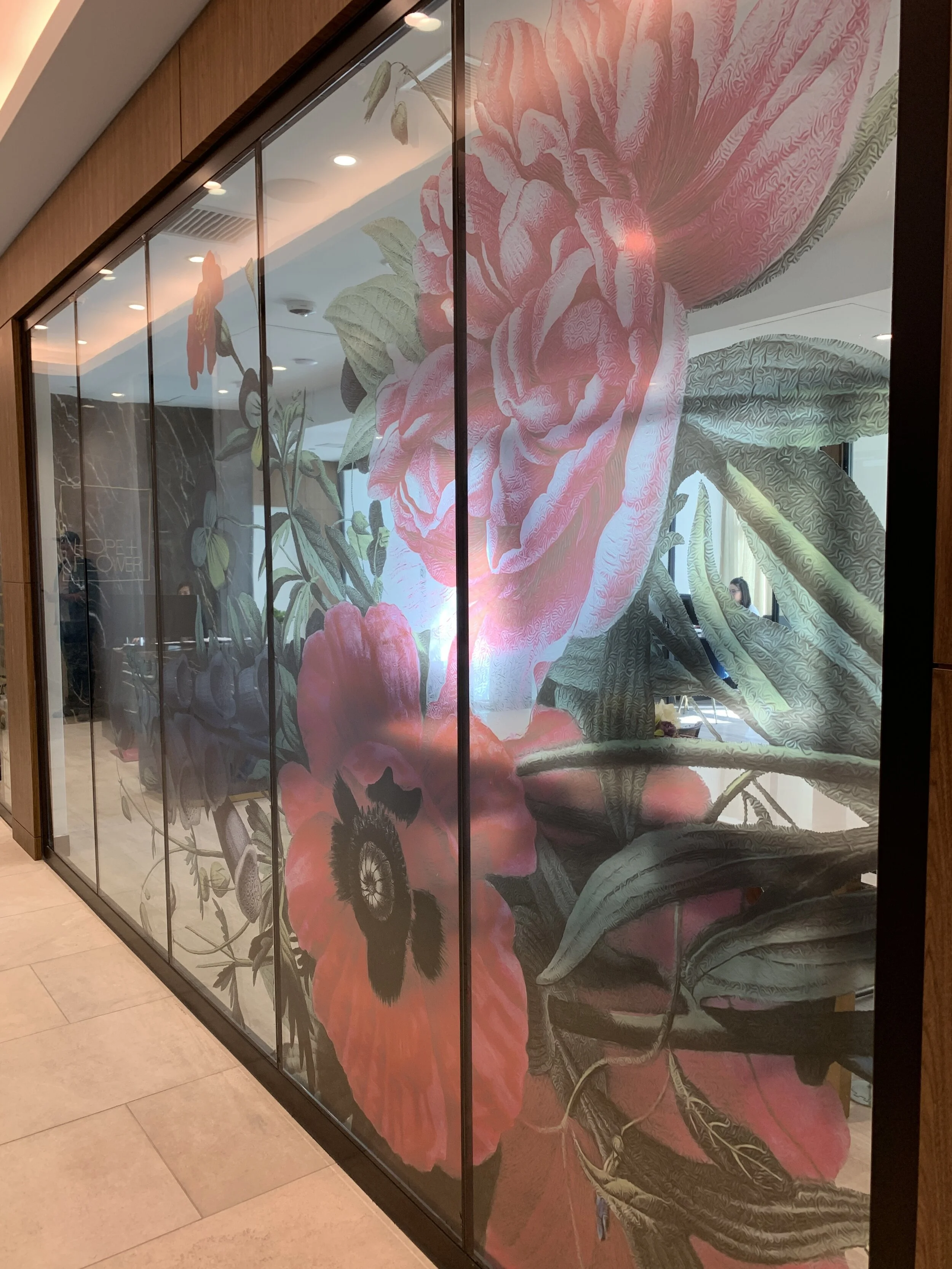 Translucent window graphic