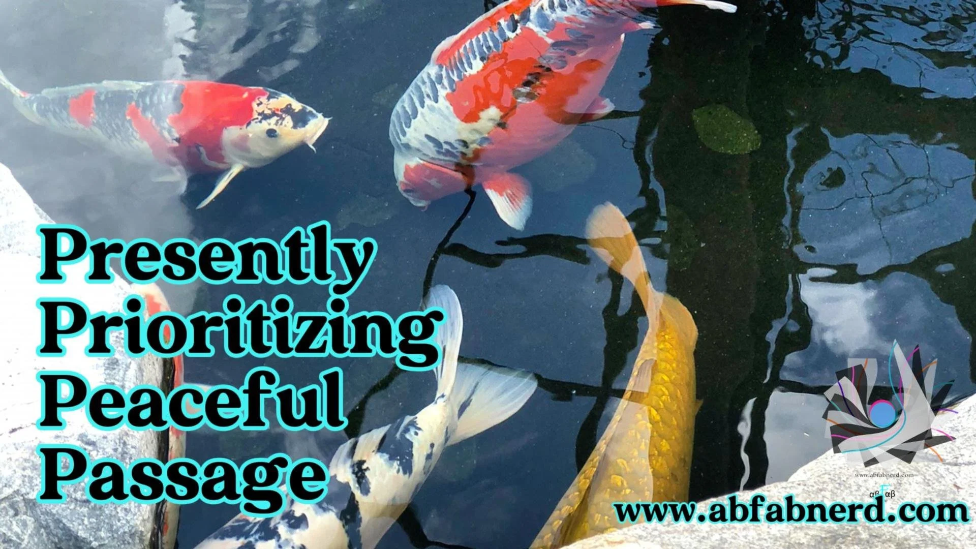 PRESENTLY PRIORITIZING PEACEFUL PASSAGE 🌊
Peace isn&rsquo;t luck&mdash;it&rsquo;s a choice.
I spent years chasing distraction and numbing pain.
Today I choose calm, forgiveness, and mindful daily deeds that fill my soul.

See Full Video
https://yout