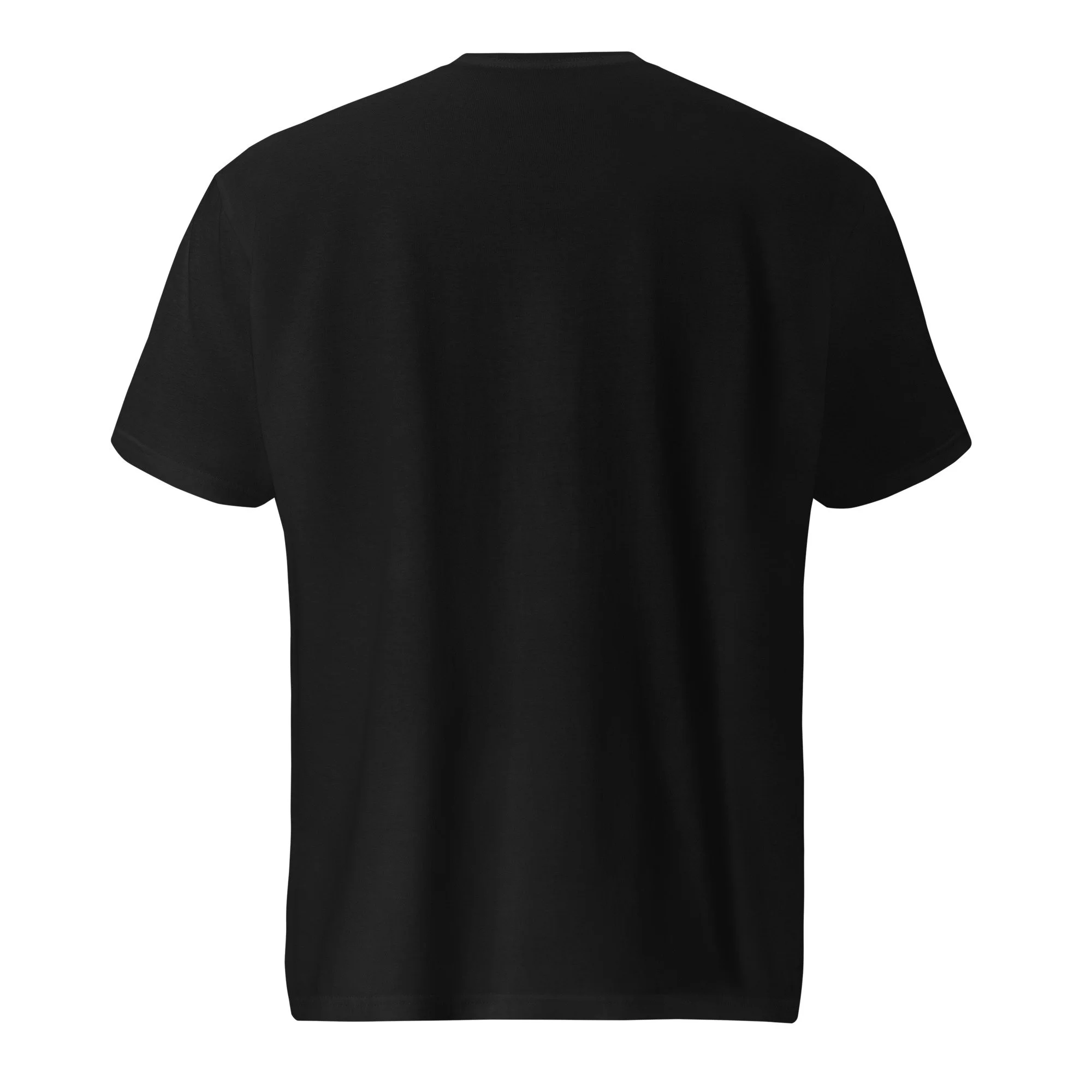 unisex-lightweight-t-shirt-black-back-686a16d9bffce.jpg