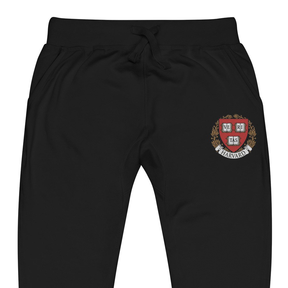 unisex-fleece-sweatpants-black-zoomed-in-686f572687cfe.jpg