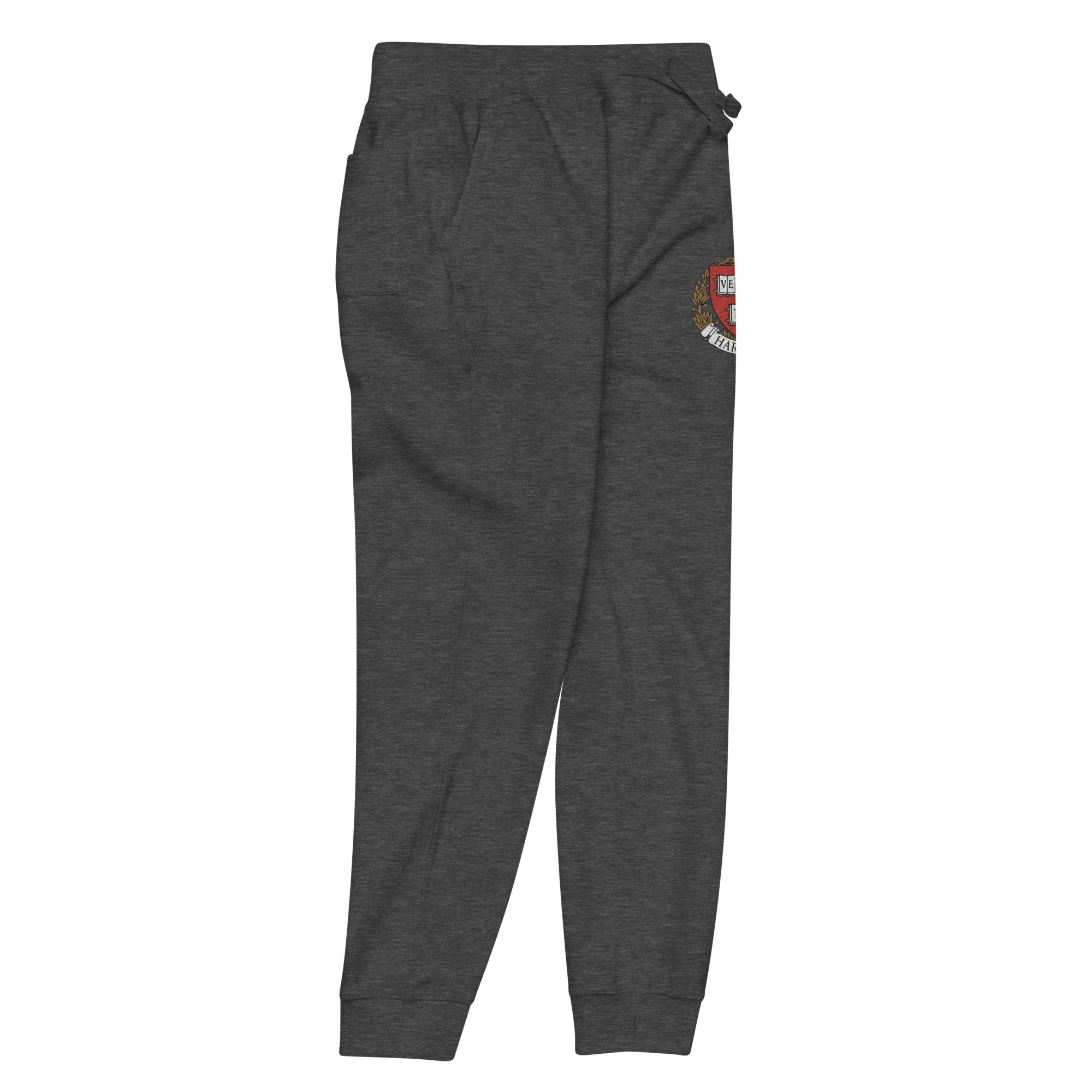 unisex-fleece-sweatpants-charcoal-heather-front-right-686f572688378.jpg