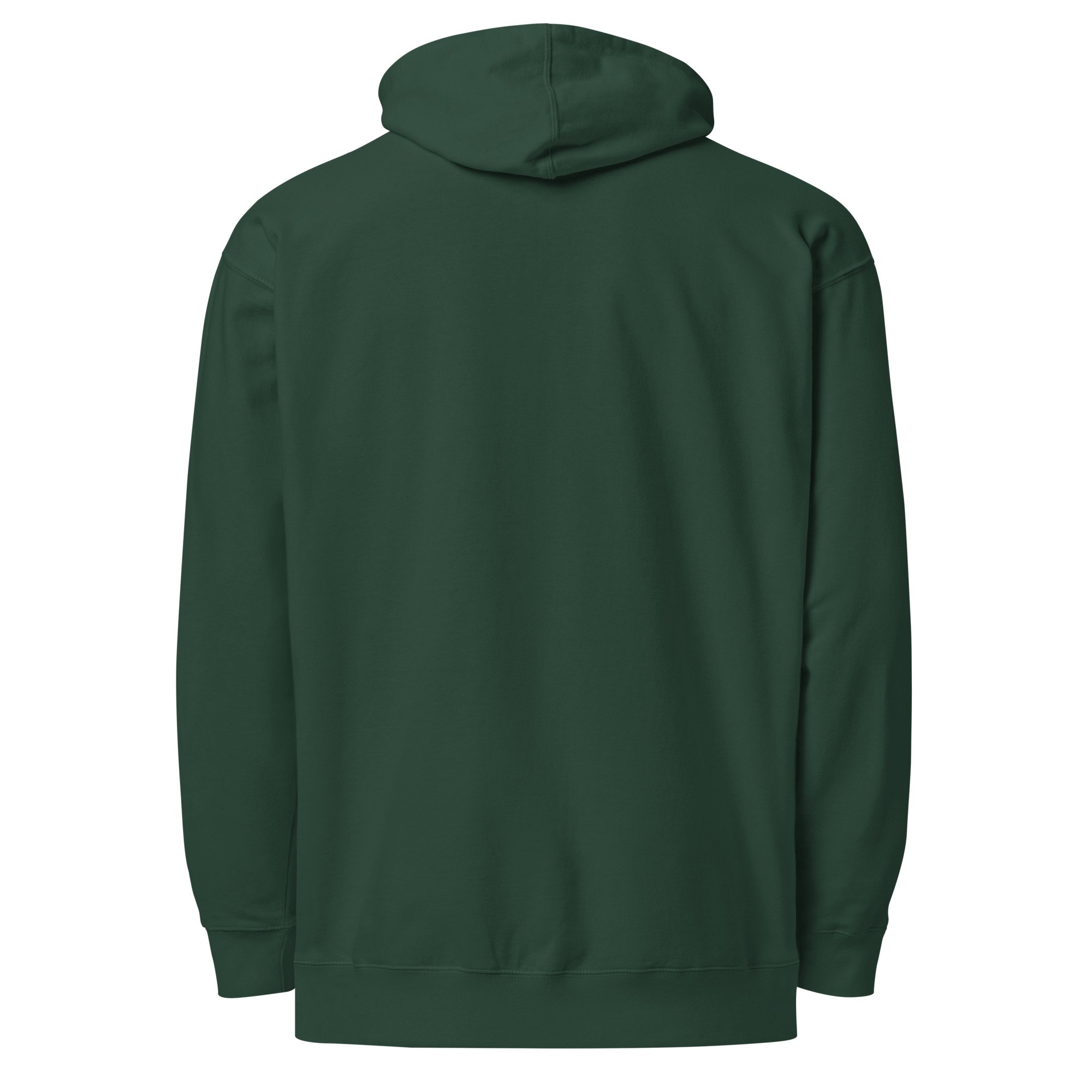unisex-midweight-hoodie-alpine-green-back-6875a003d4e65.jpg