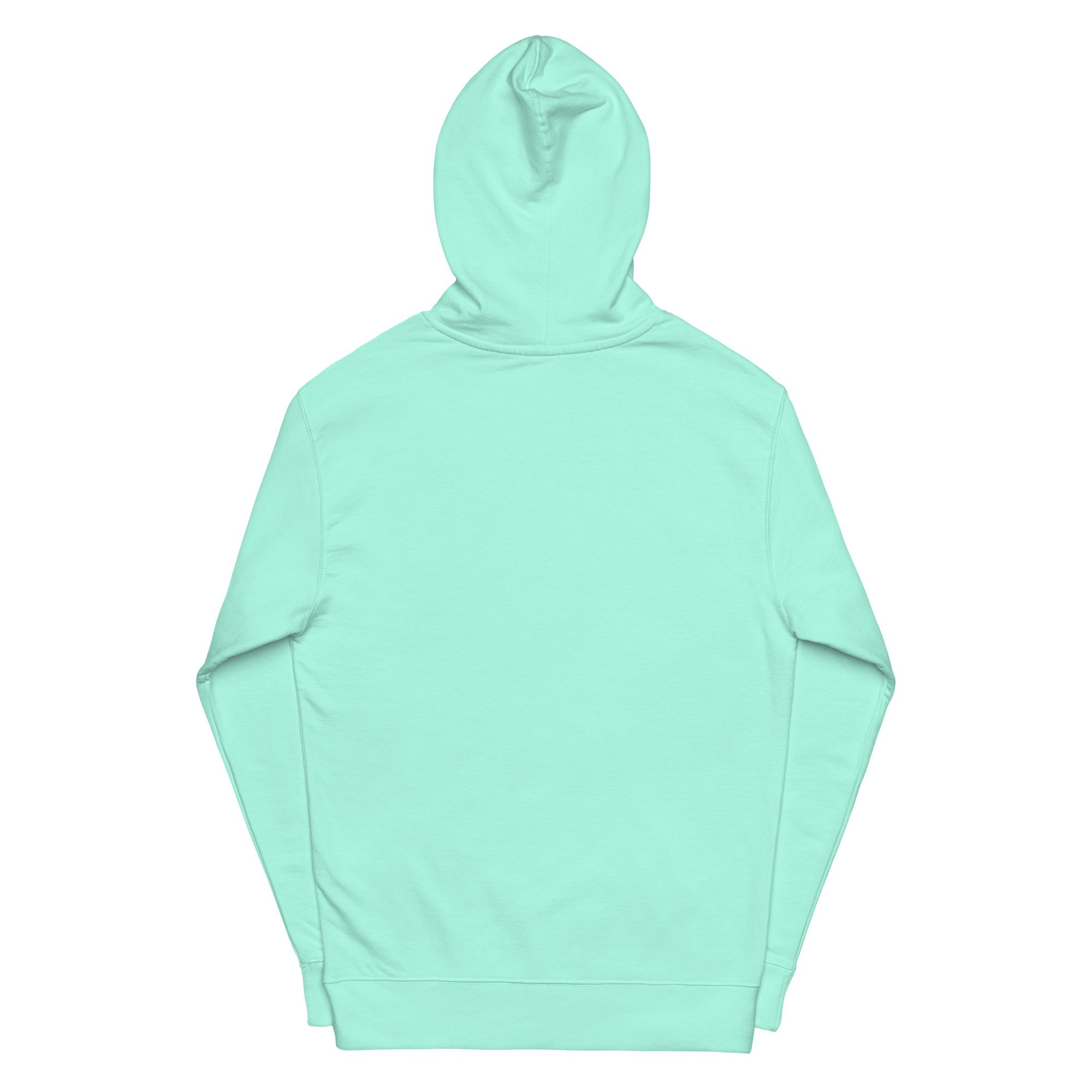 unisex-midweight-hoodie-mint-back-6875a003e220e.jpg