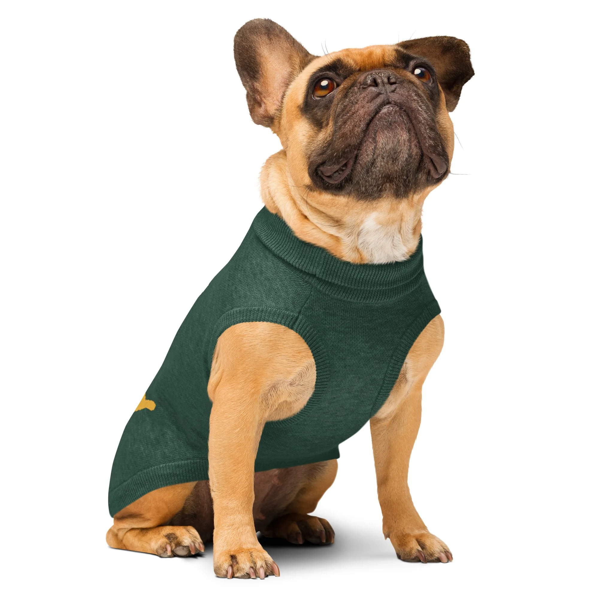 knitted-pet-sweater-custom-m-right-front-691ca618147de.jpg