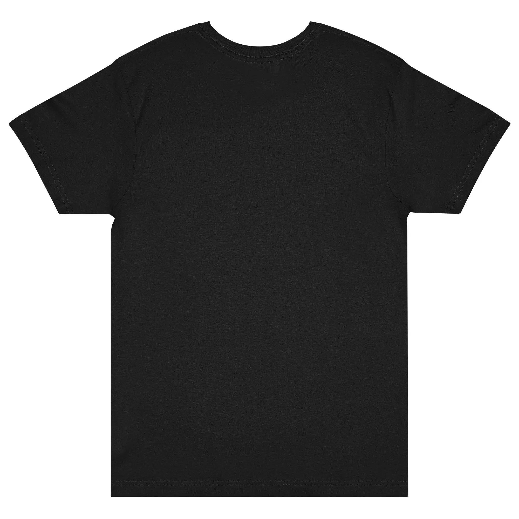 lat-unisex-fine-jersey-tee---6901-black-back-6931e4968193c.jpg