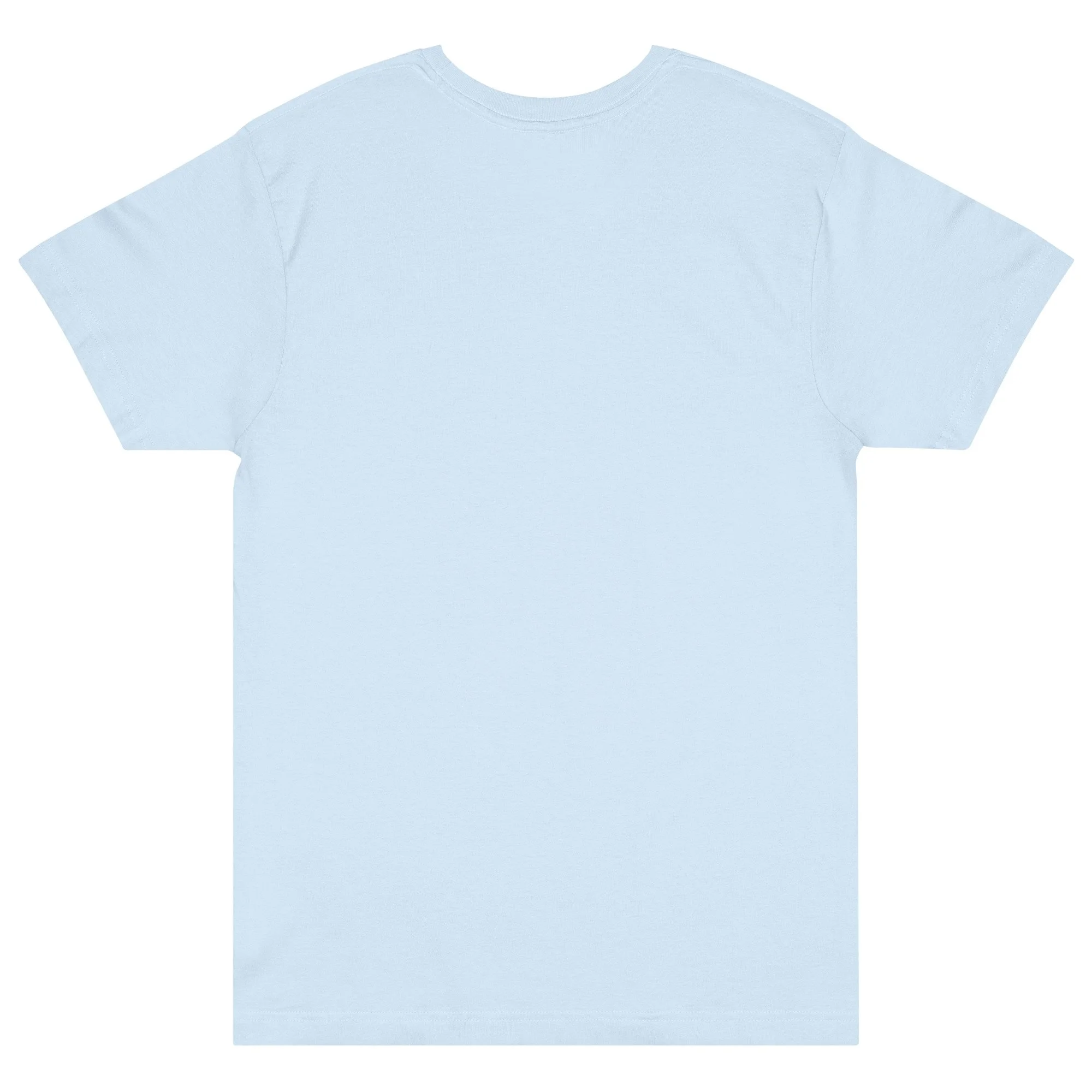 lat-unisex-fine-jersey-tee---6901-light-blue-back-6931e546e6acb.jpg