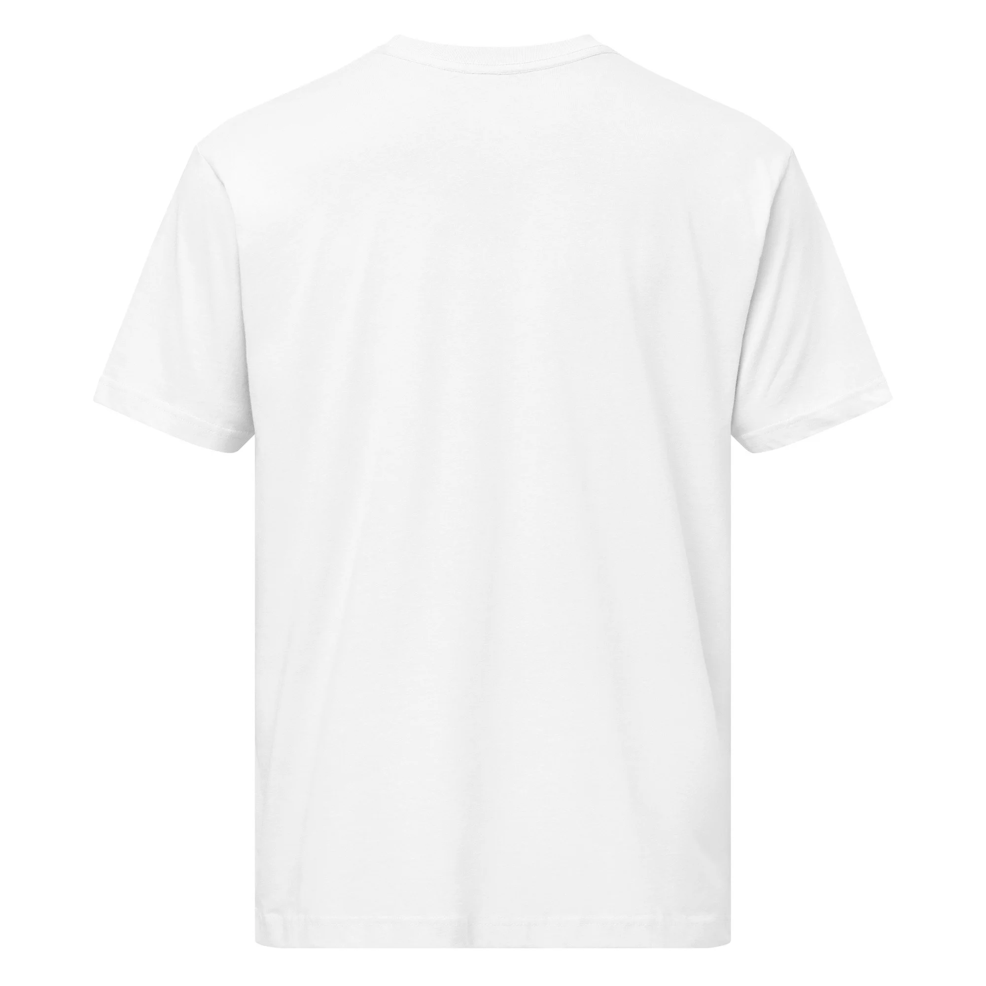 lat-unisex-fine-jersey-tee---6901-white-back-69328a07caccb.jpg