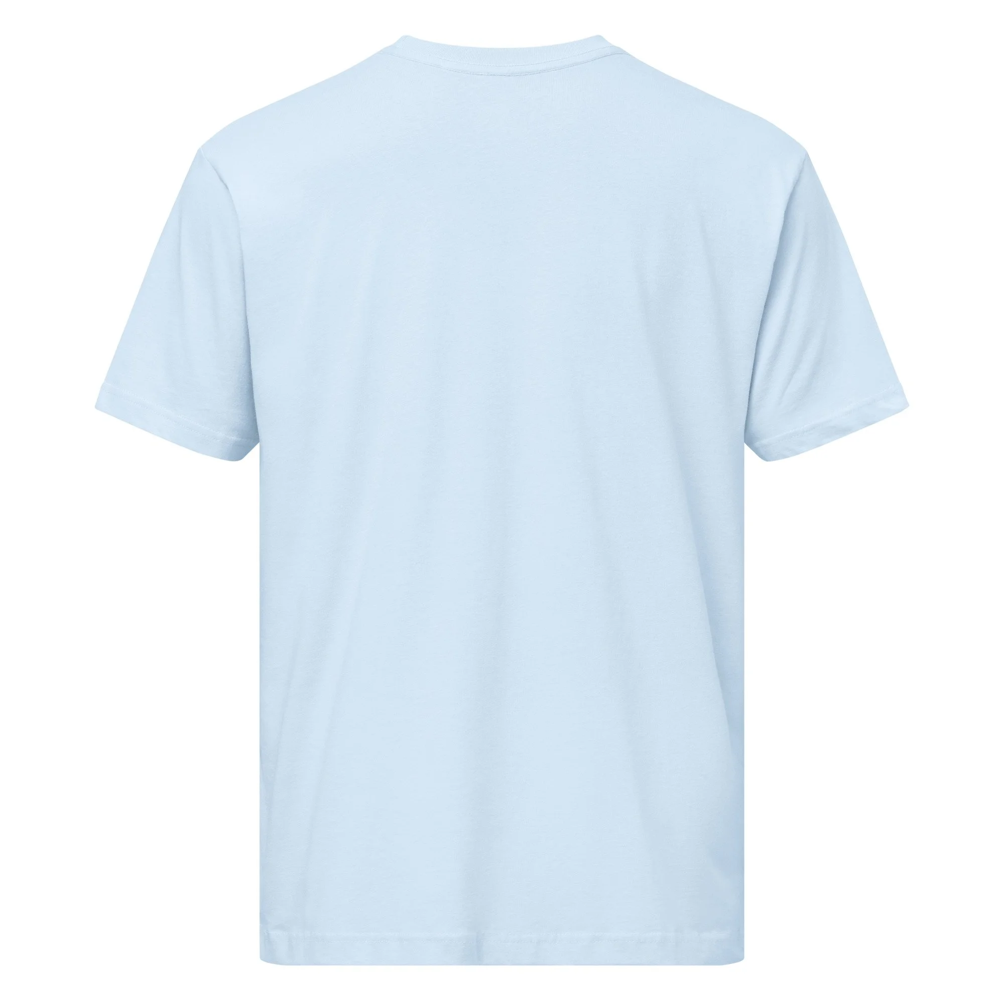 lat-unisex-fine-jersey-tee---6901-light-blue-back-69c3268e26681.jpg