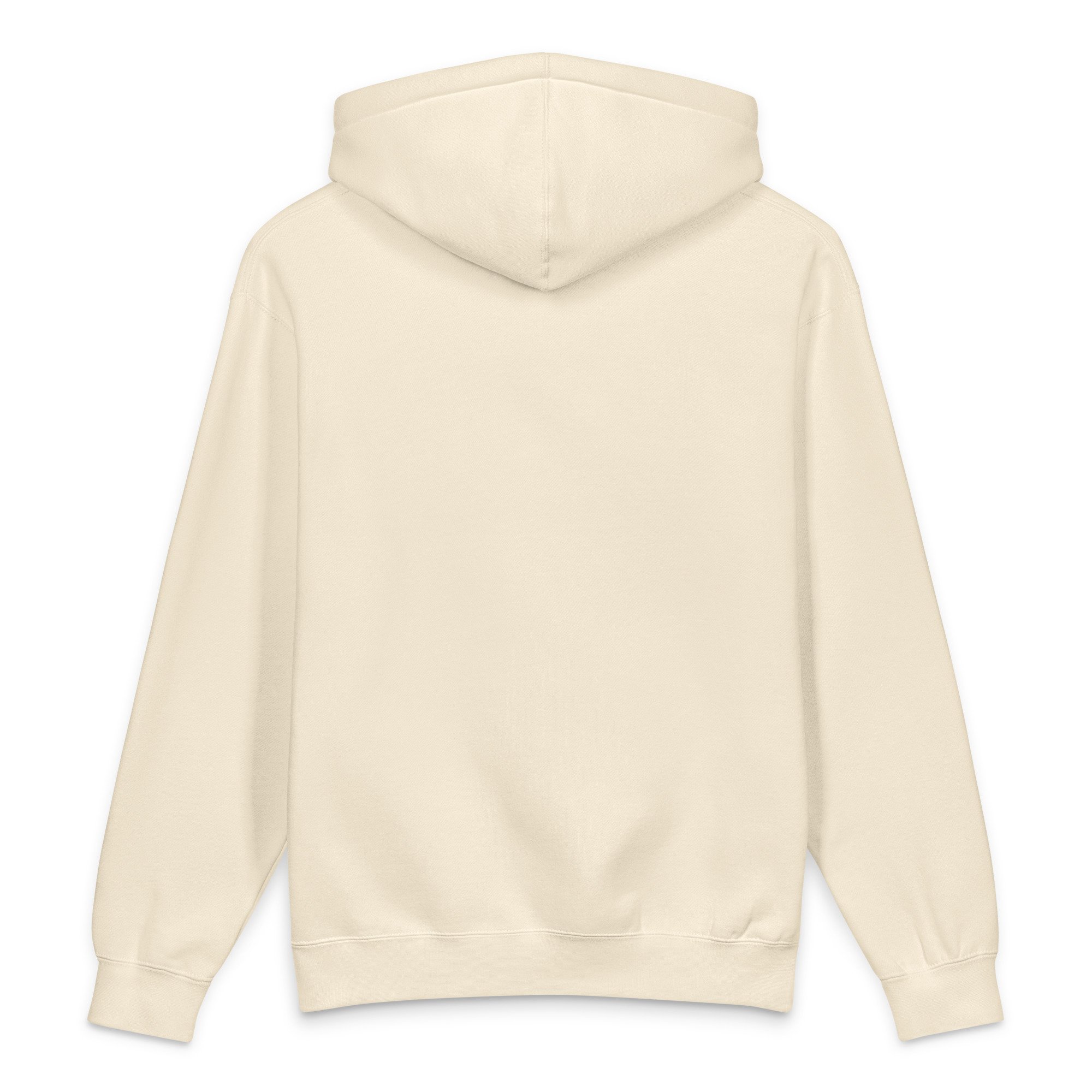 unisex-heavyweight-hooded-sweatshirt-bone-back-69f1210009038.jpg