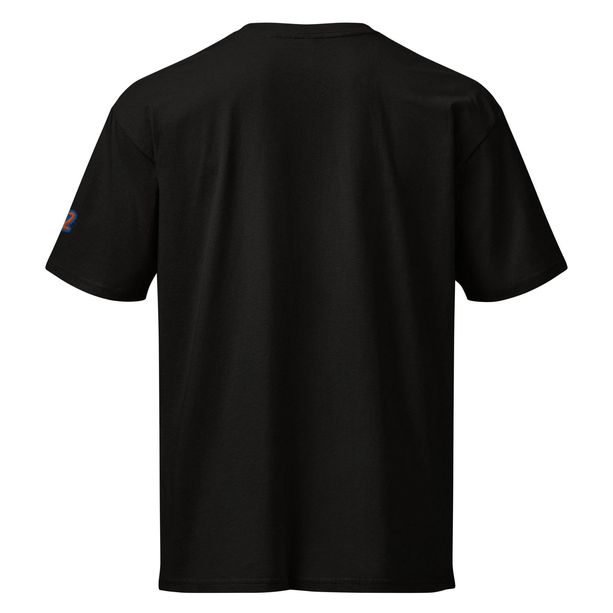 mens-premium-short-sleeve-tee-black-back-6a135068a8ffe.jpg