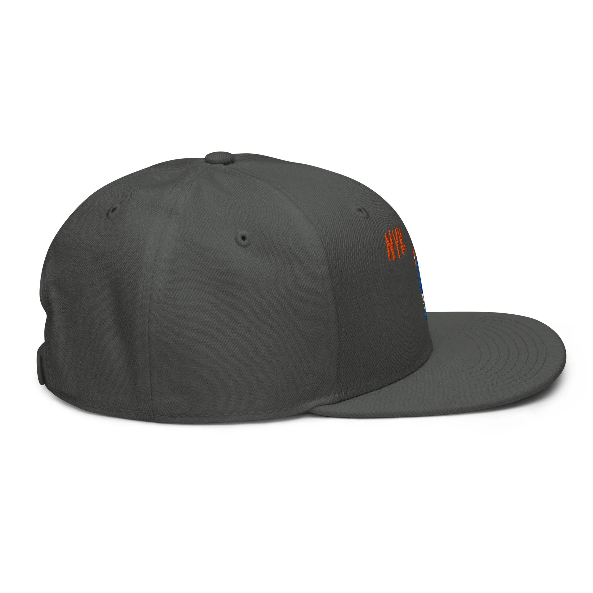 snapback-charcoal-gray-right-side-6a139c3591c66.jpg