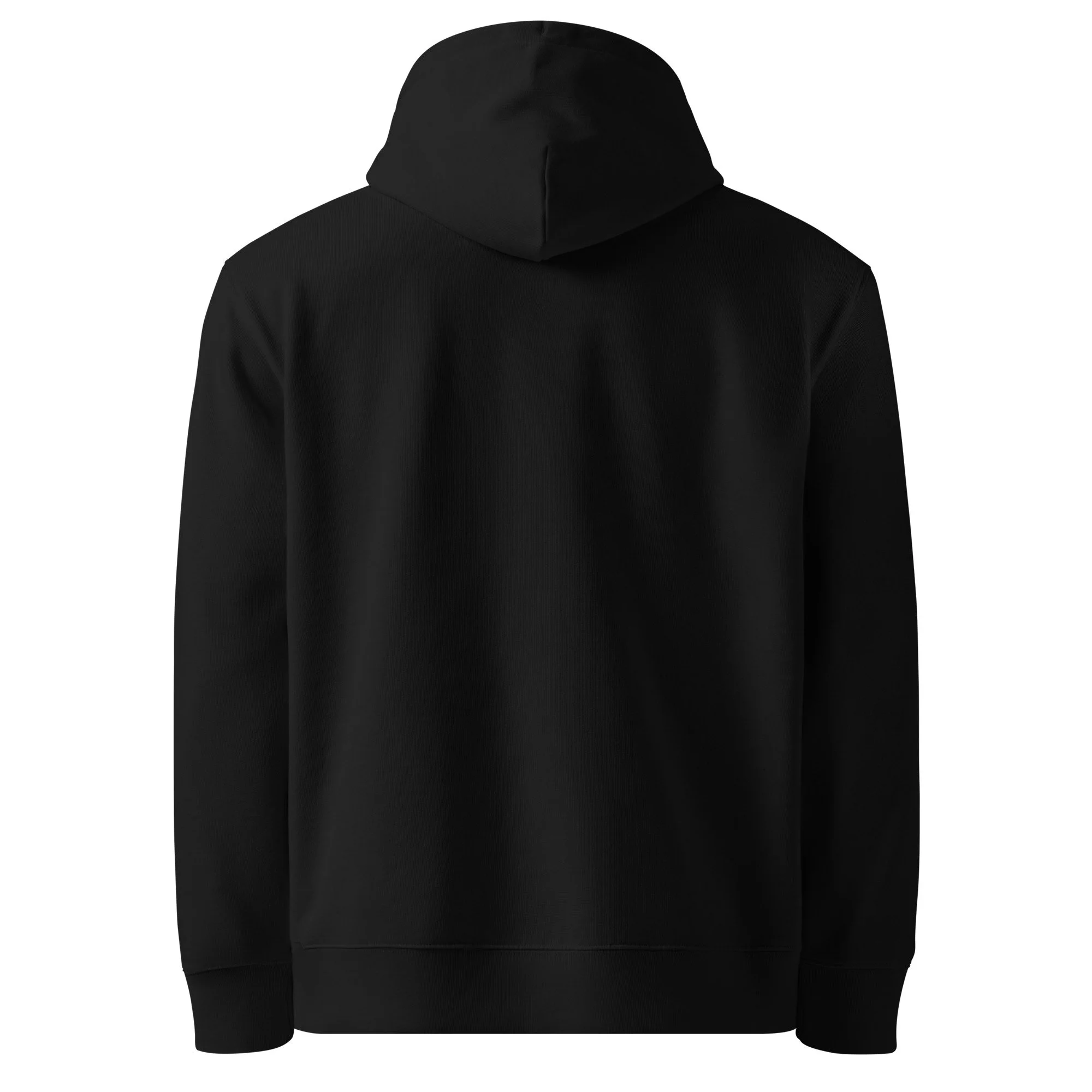 unisex-essential-eco-cruiser-2.0-hoodie-black-back-6a1483536f490.jpg