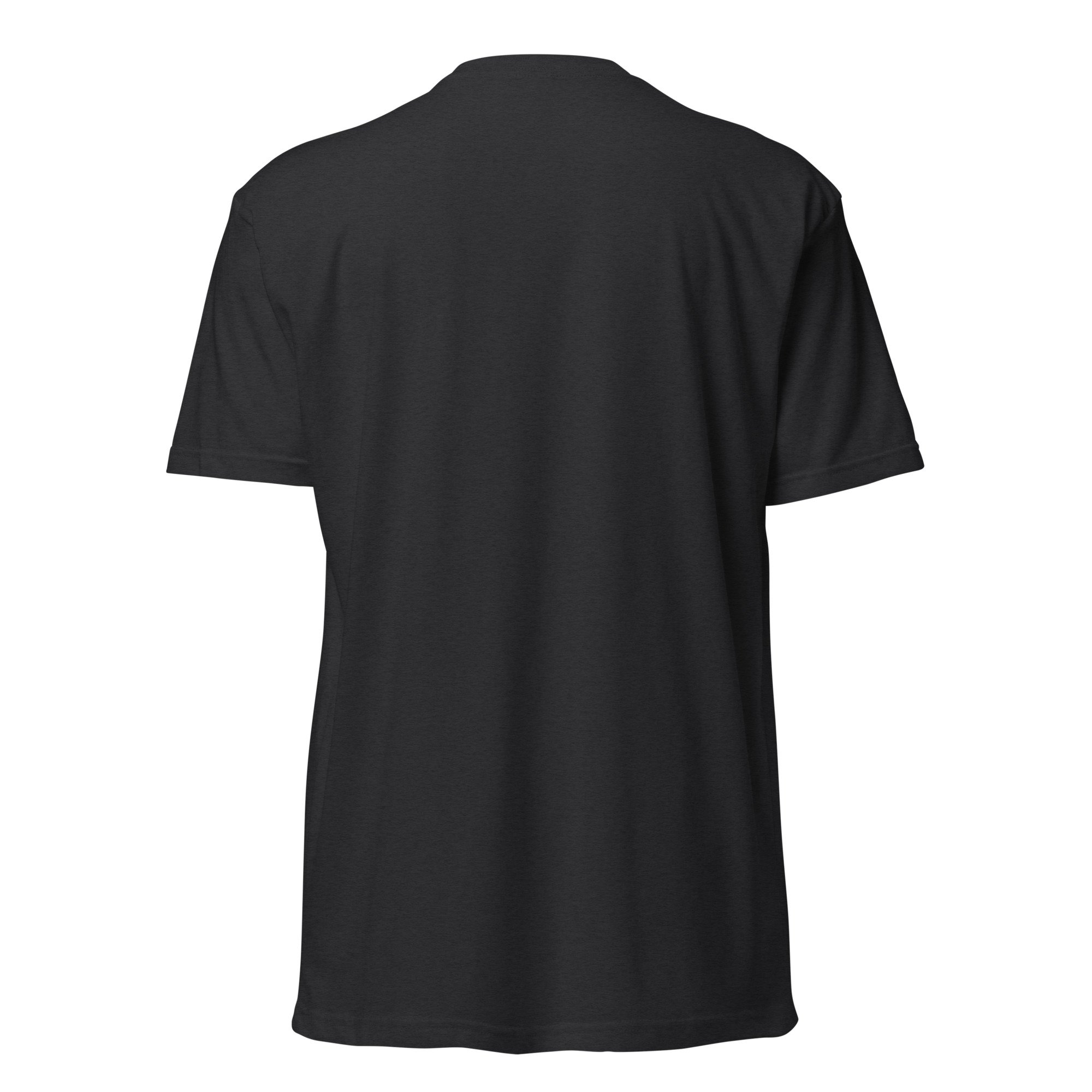 unisex-cvc-t-shirt-black-back-6a15fe06eefed.jpg