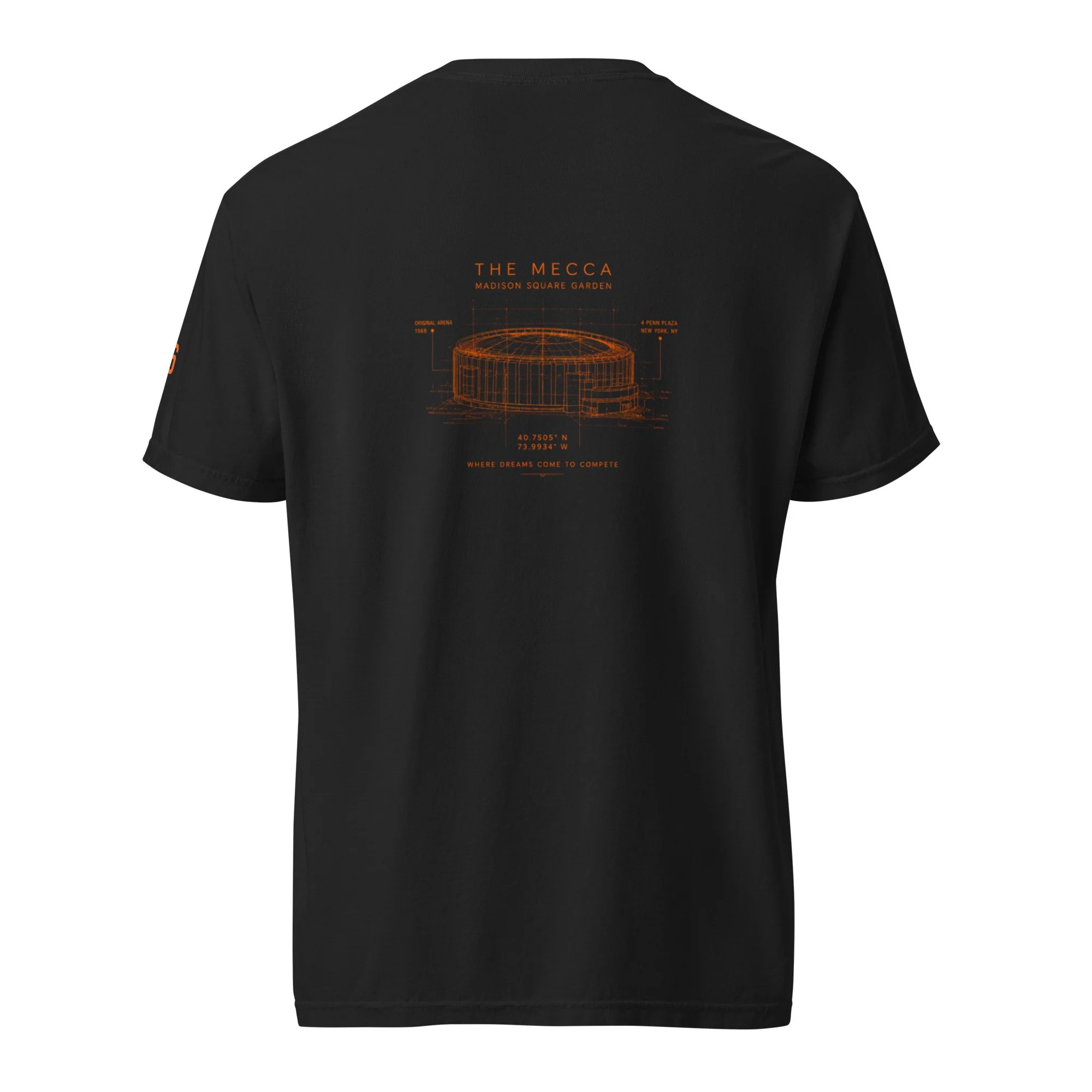 unisex-garment-dyed-heavyweight-t-shirt-black-back-6a2b92f18abd9.jpg