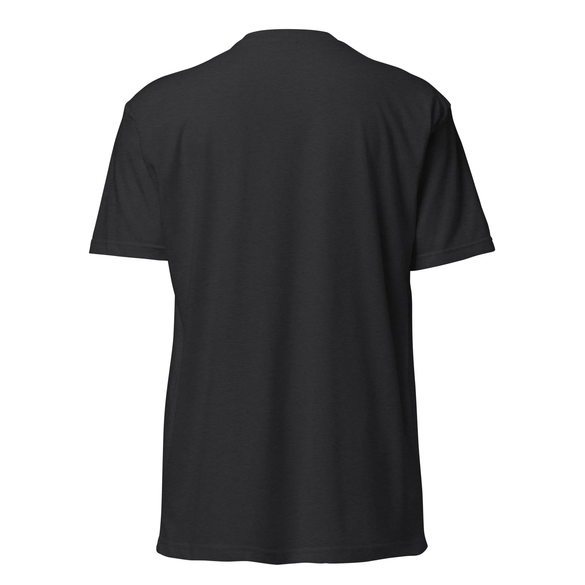unisex-cvc-t-shirt-black-back-6a2cb0701fbdf.jpg