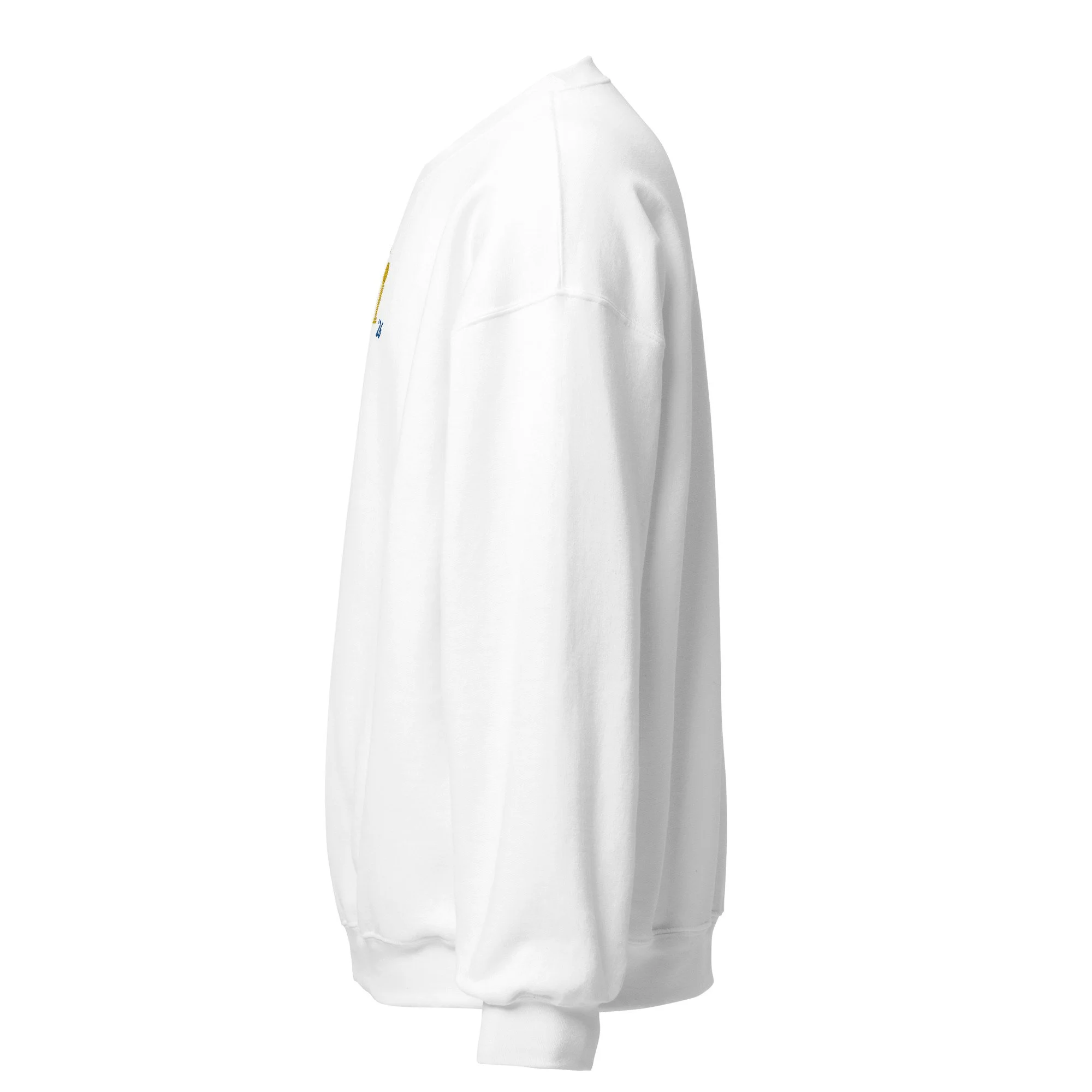 unisex-crew-neck-sweatshirt-white-left-6a3c0b3de295d.jpg