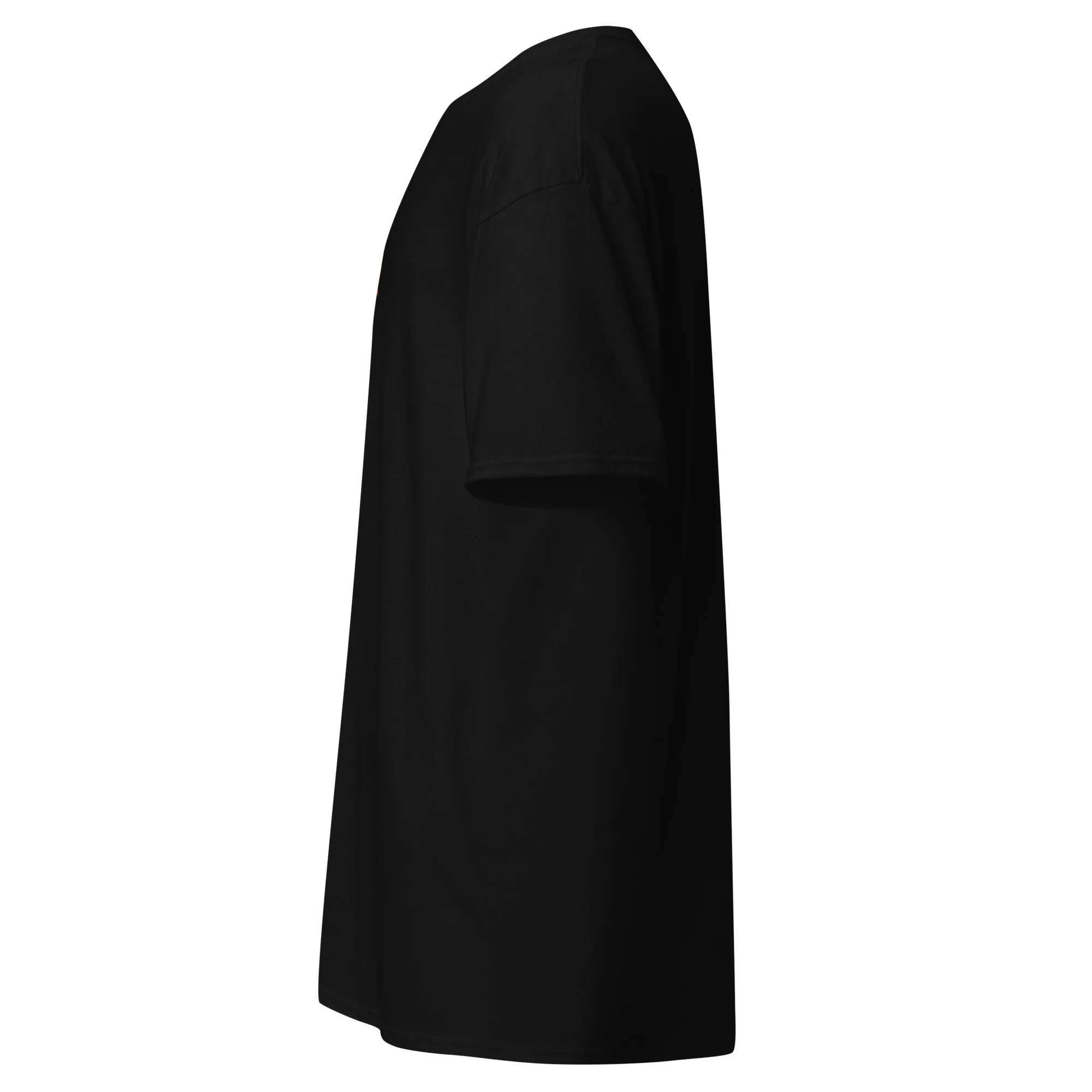 unisex-classic-tee-black-left-6a4c60a135e2b.jpg