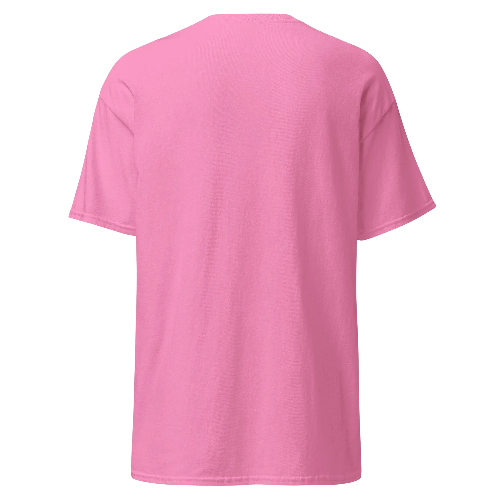 unisex-classic-tee-azalea-back-6a4c60a1330ee.jpg