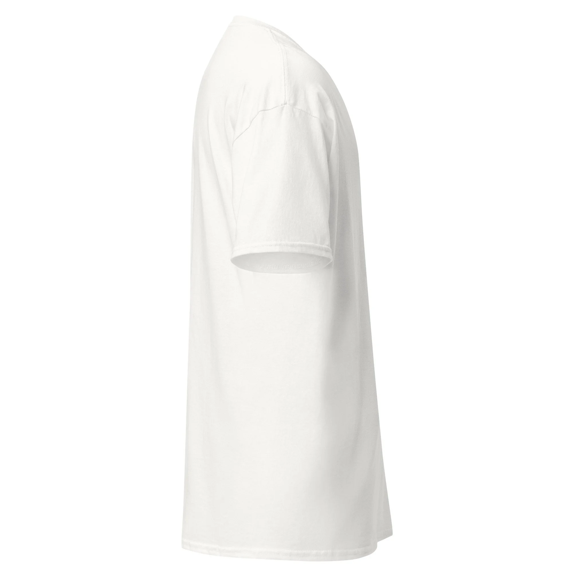 unisex-classic-tee-white-right-6a4c60a135044.jpg
